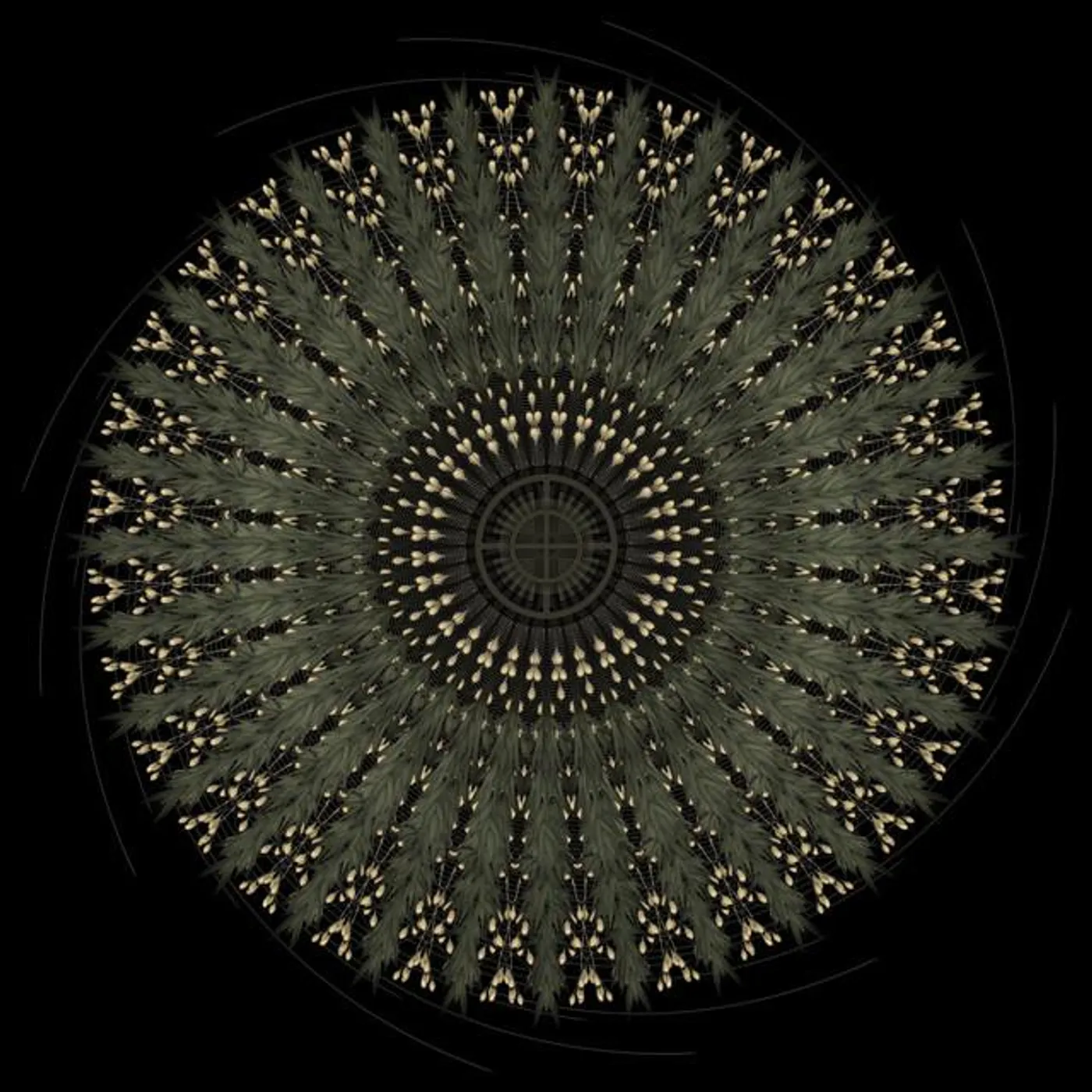 Blood of the Black Owl