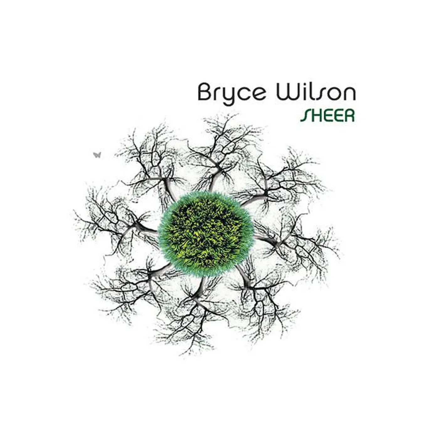 Bryce Wilson Brand Page