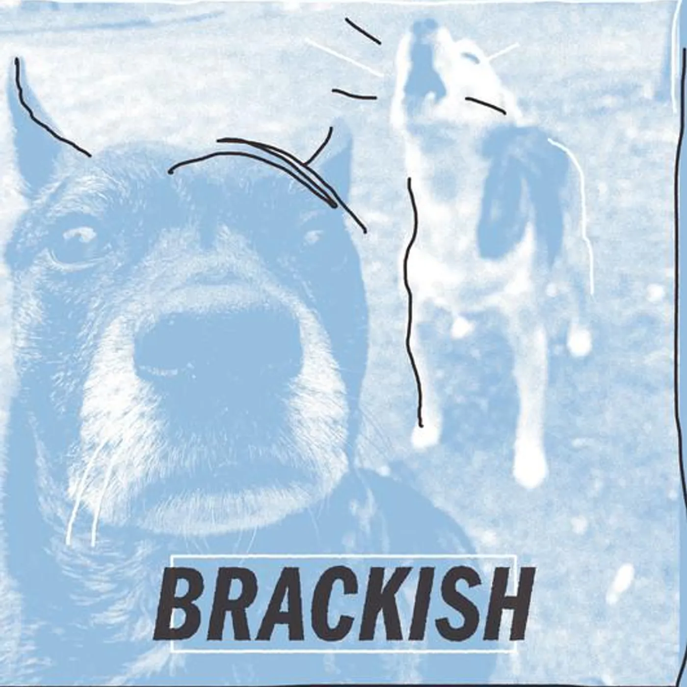 Brackish