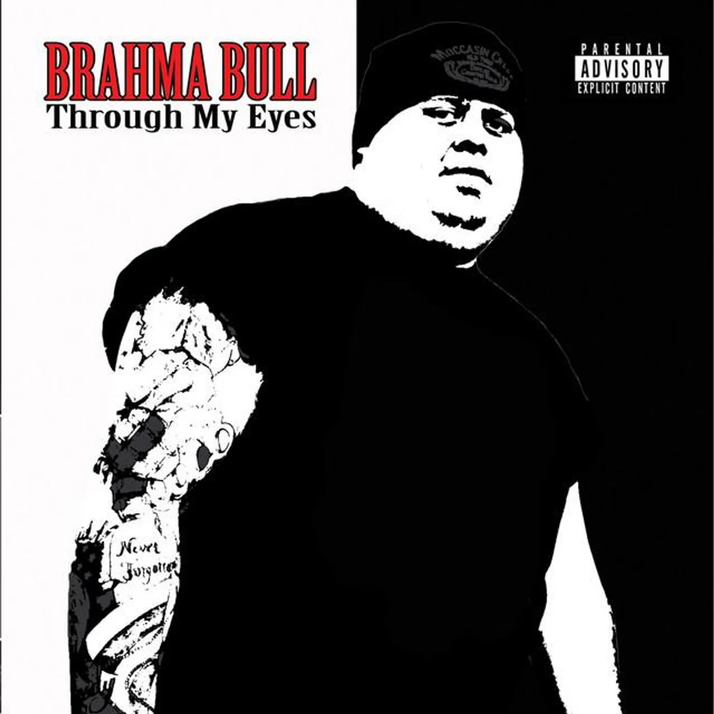 Brahma Bull