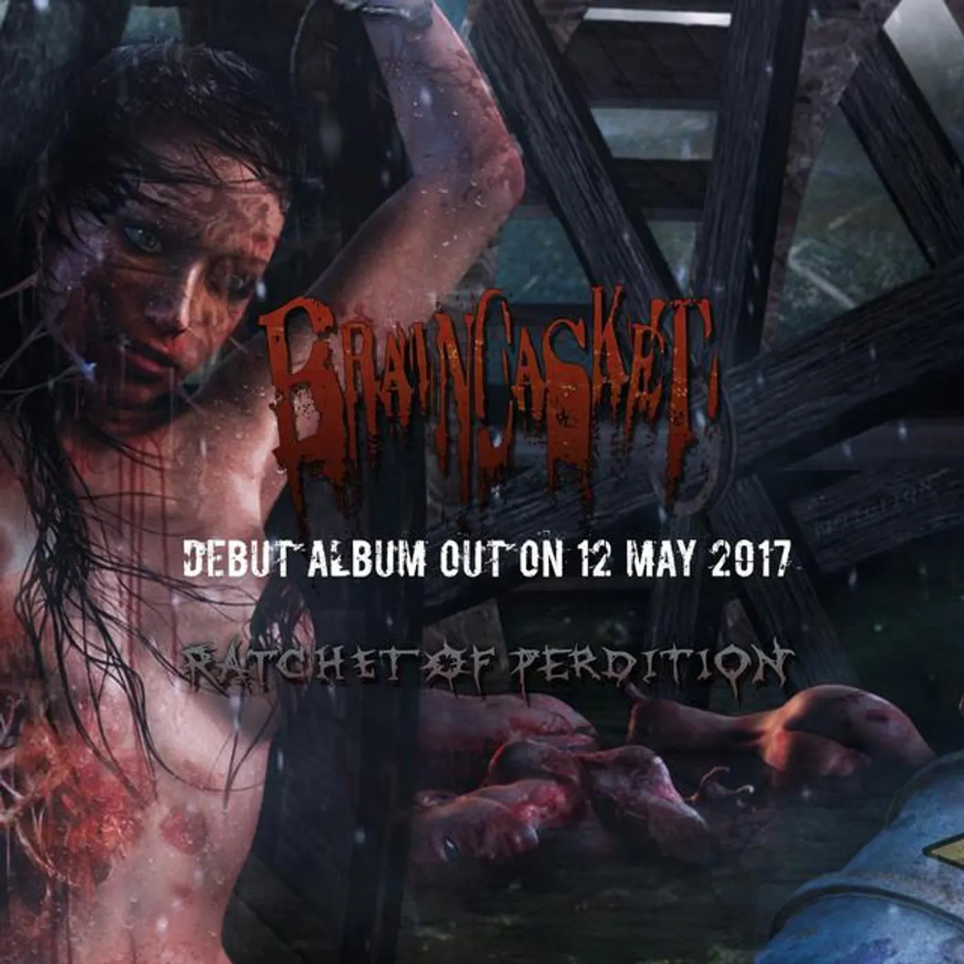 BRAINCASKET