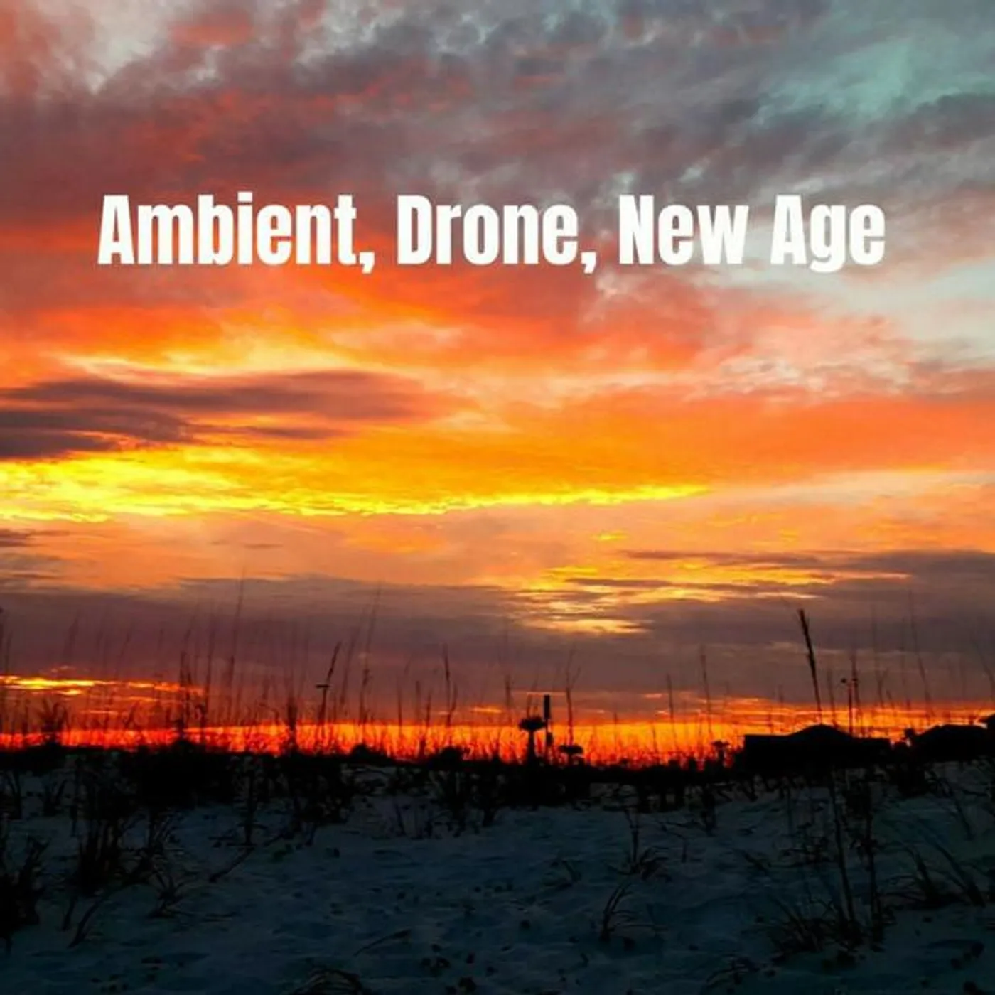 Brannan Lane Brand Page