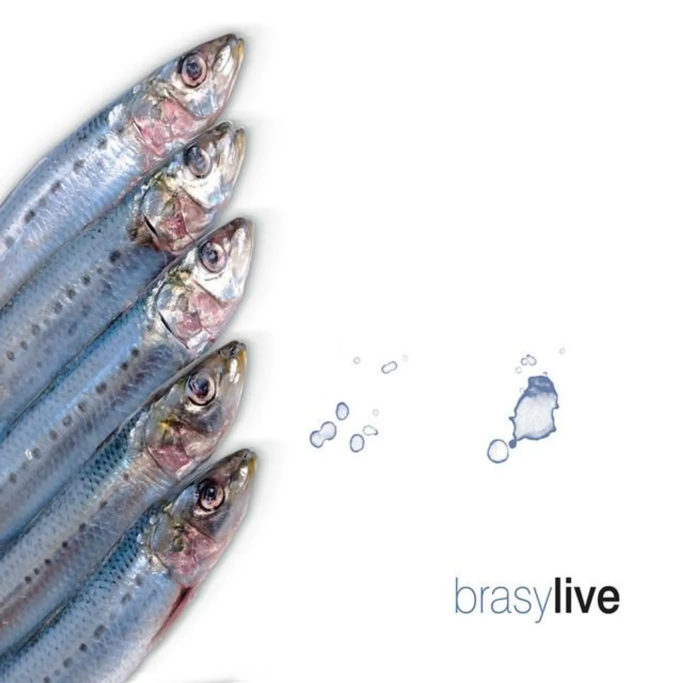 Brasy Brand Page