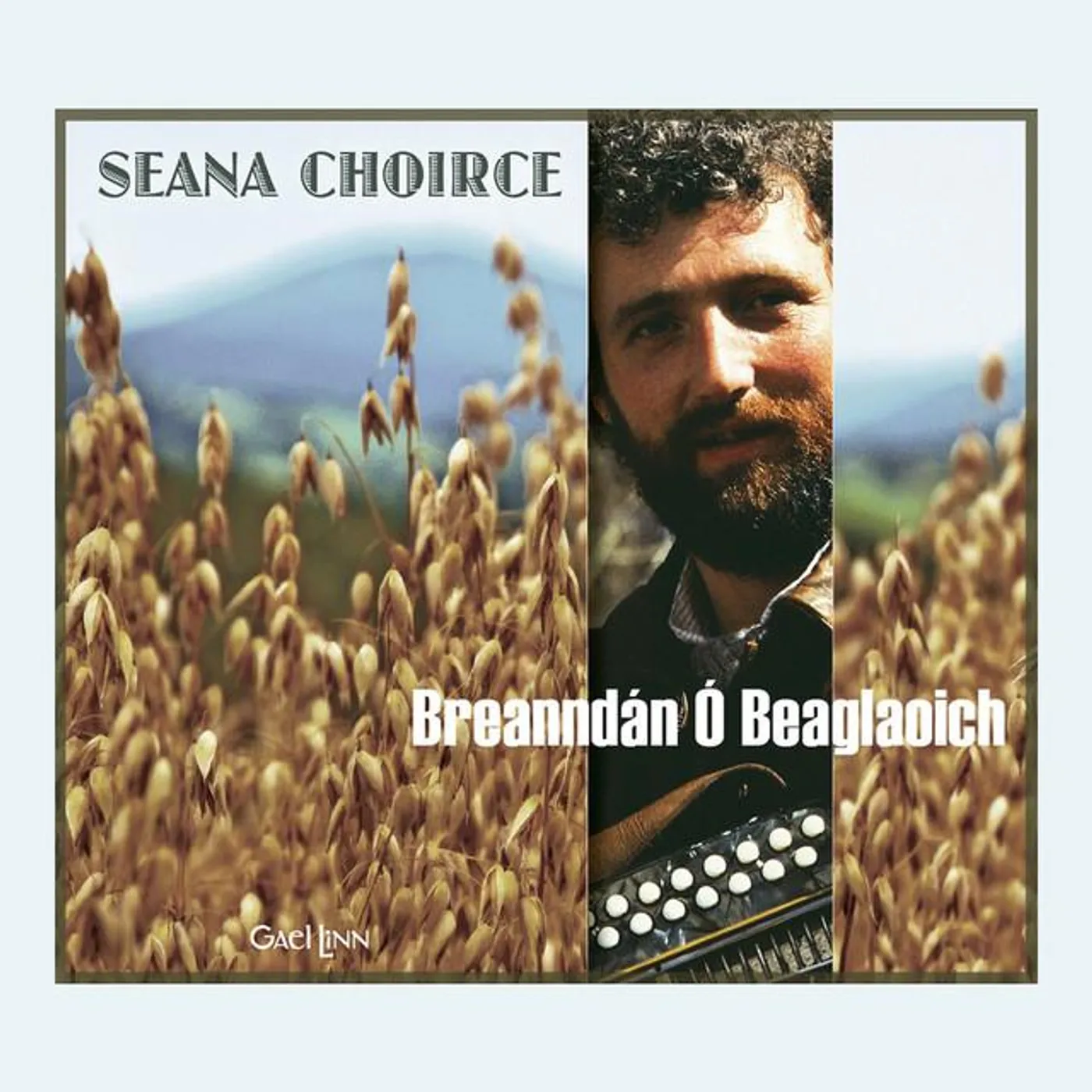 Breanndán Ó Beaglaoich