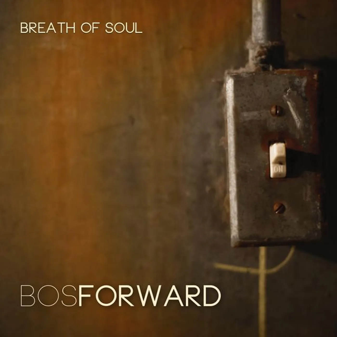 Breath of Soul Brand Page