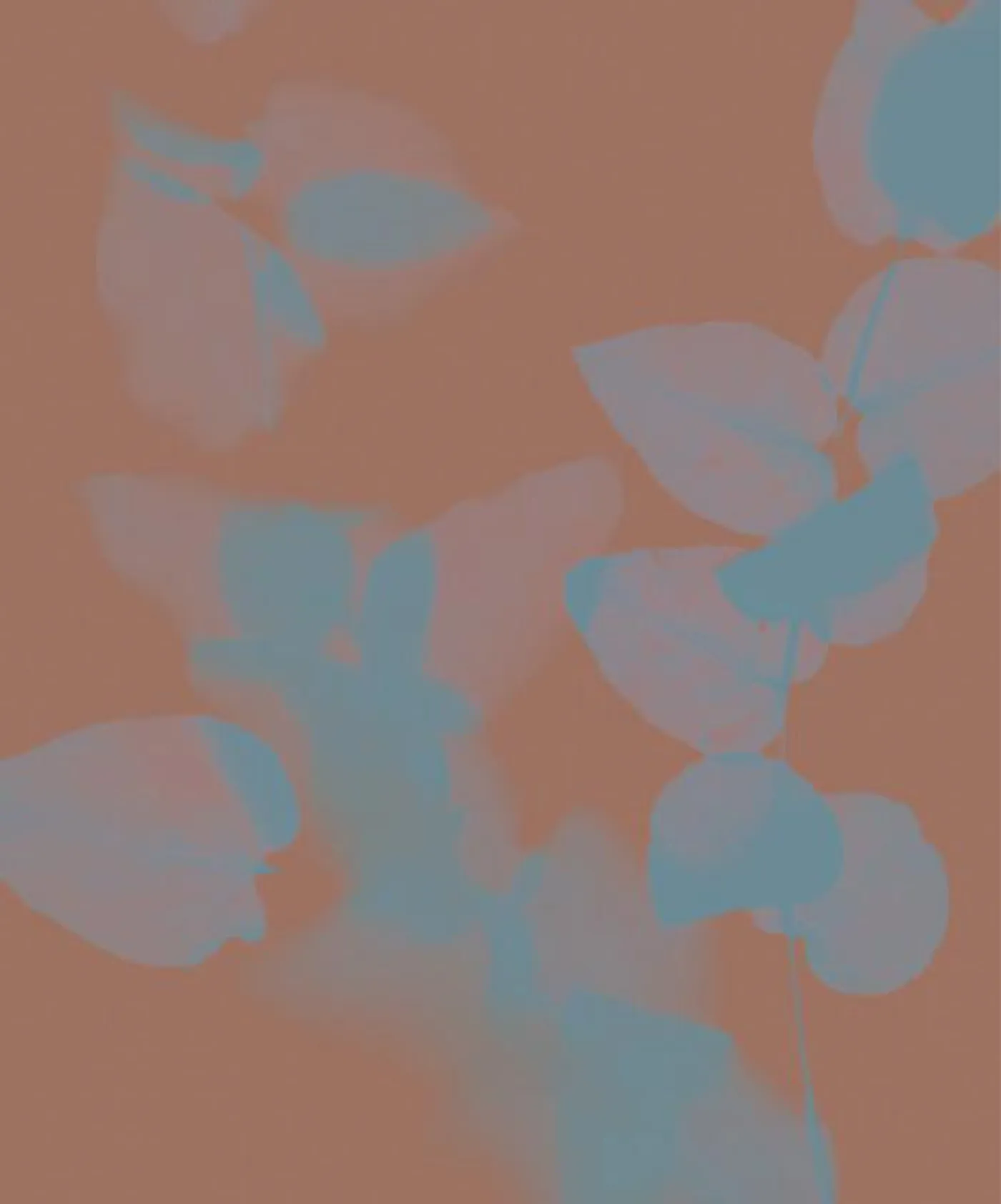 Breaths