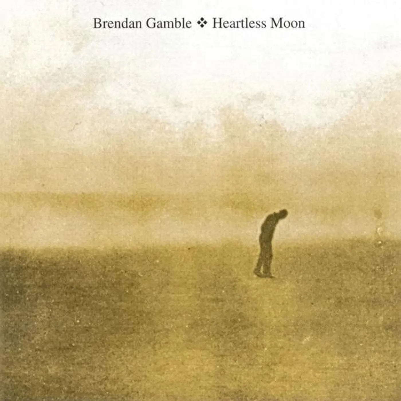 Brendan Gamble Brand Page