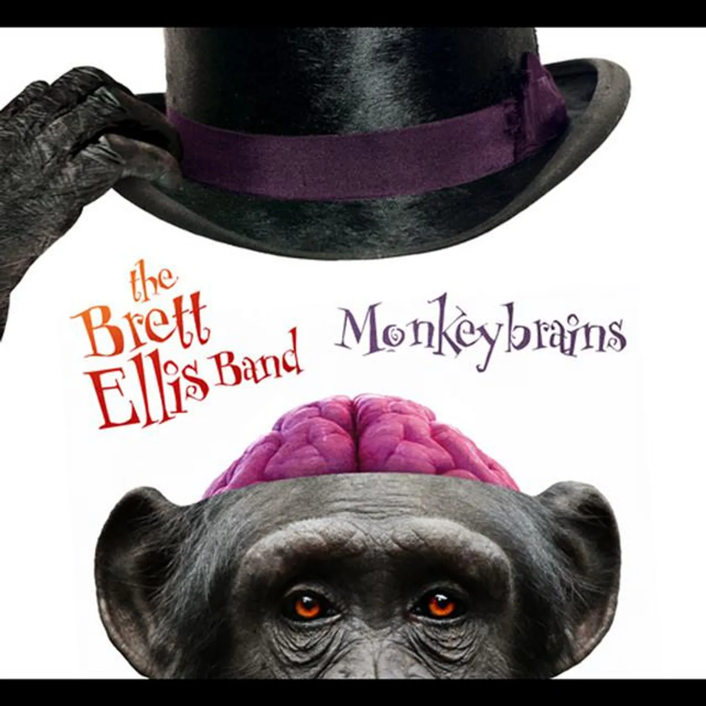Brett Ellis Band Brand Page