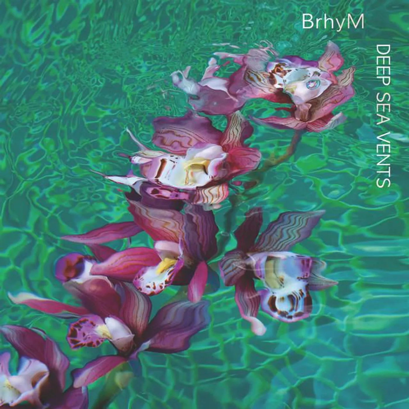 BrhyM Brand Page