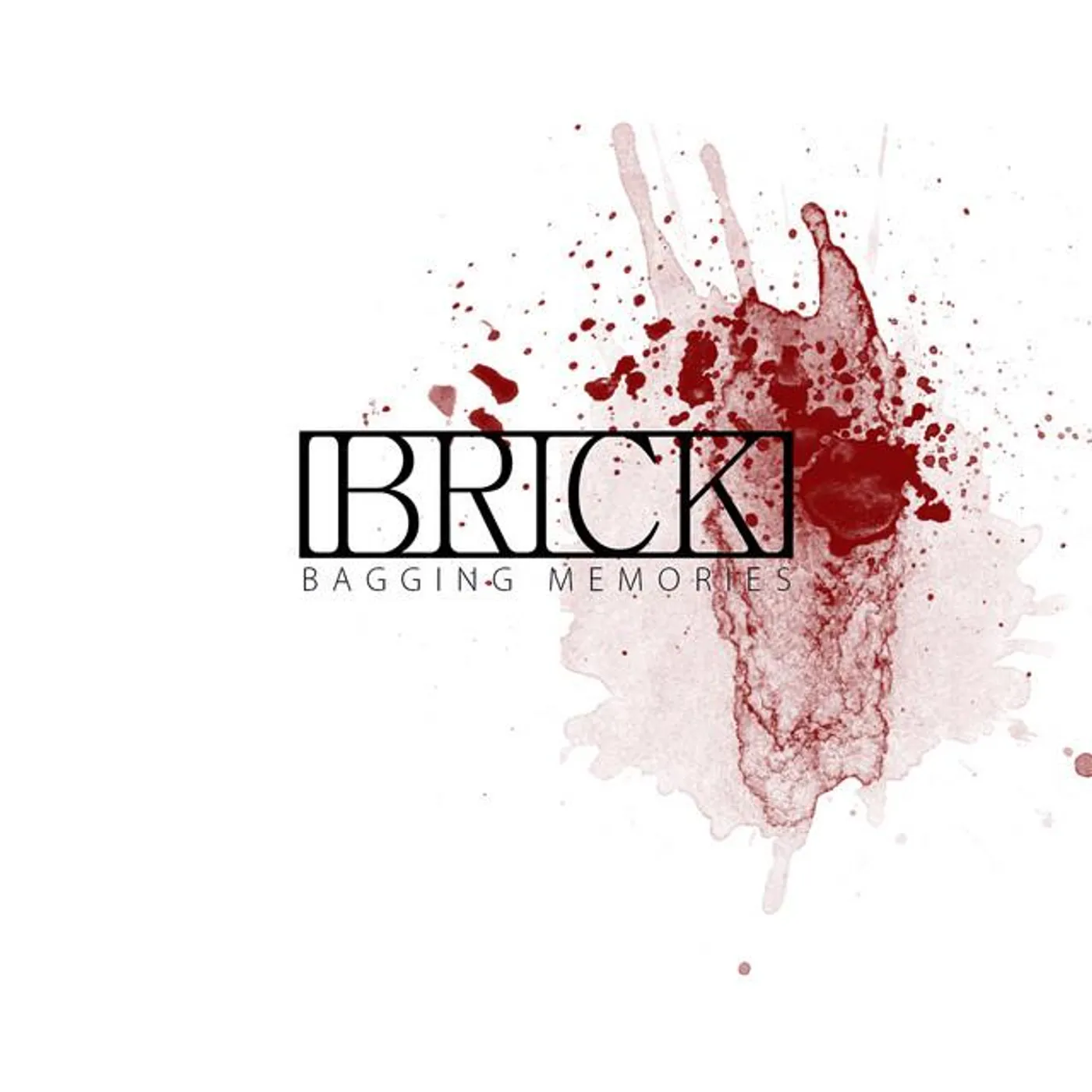 Brick SWE
