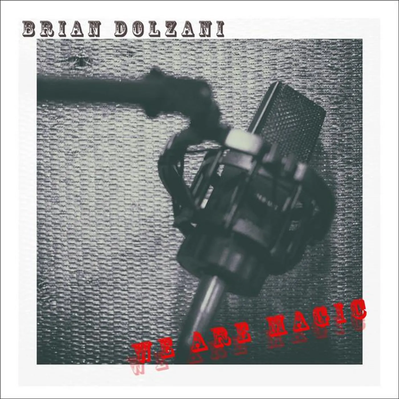 Brian Dolzani Brand Page