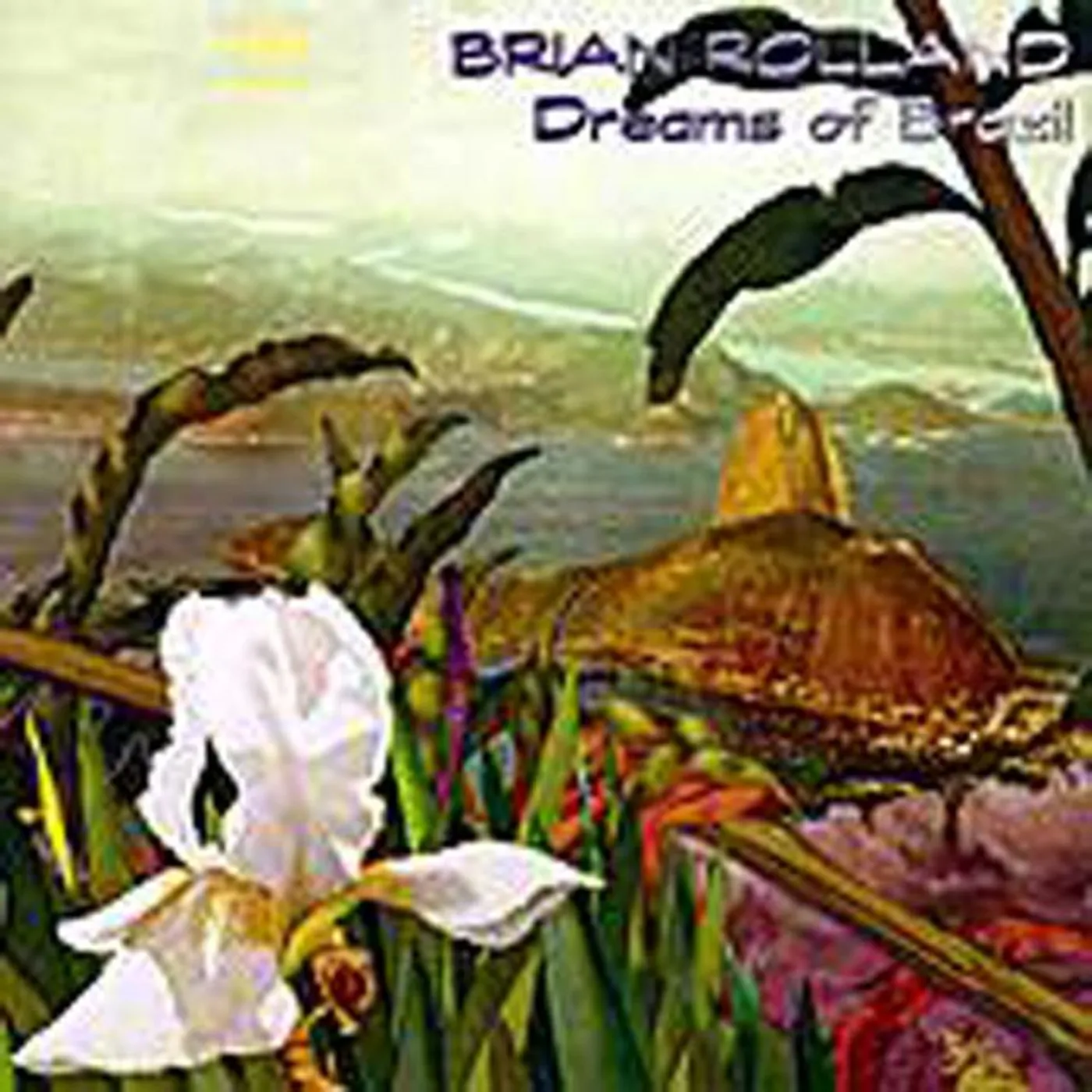 Brian Rolland