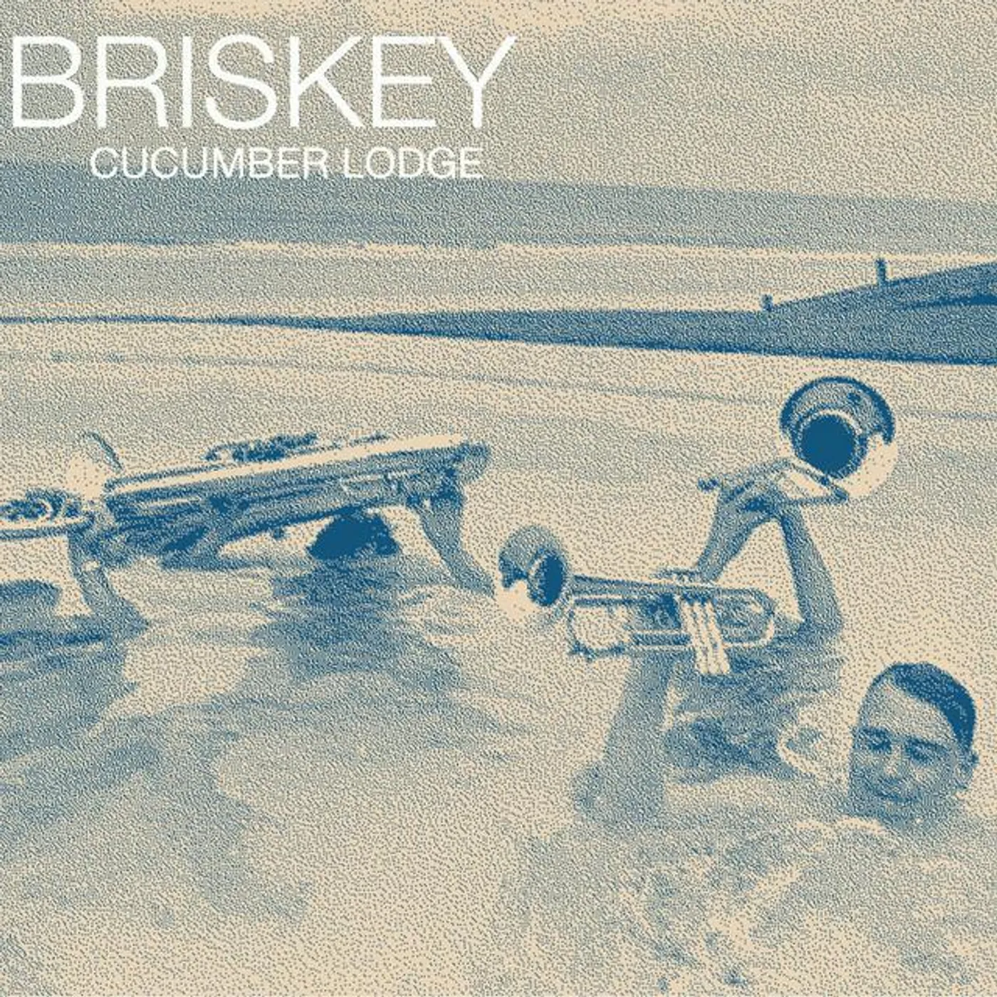 Briskey Brand Page