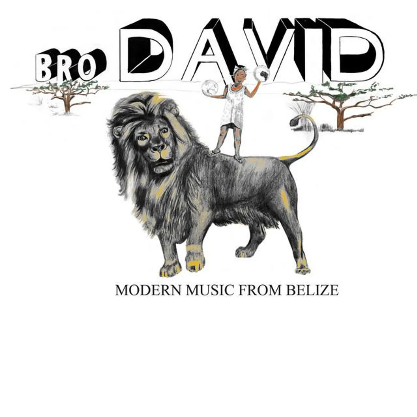 Bro David Brand Page
