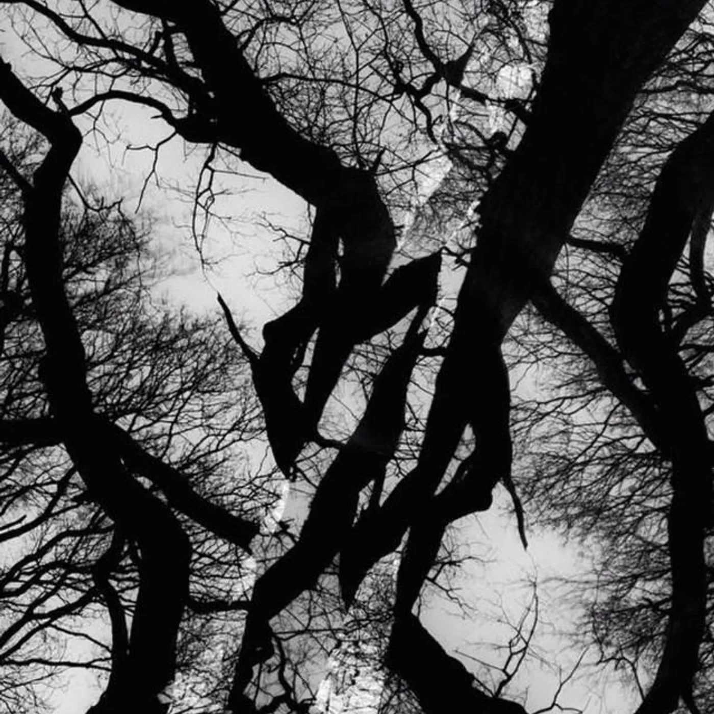 Broadway Project Brand Page