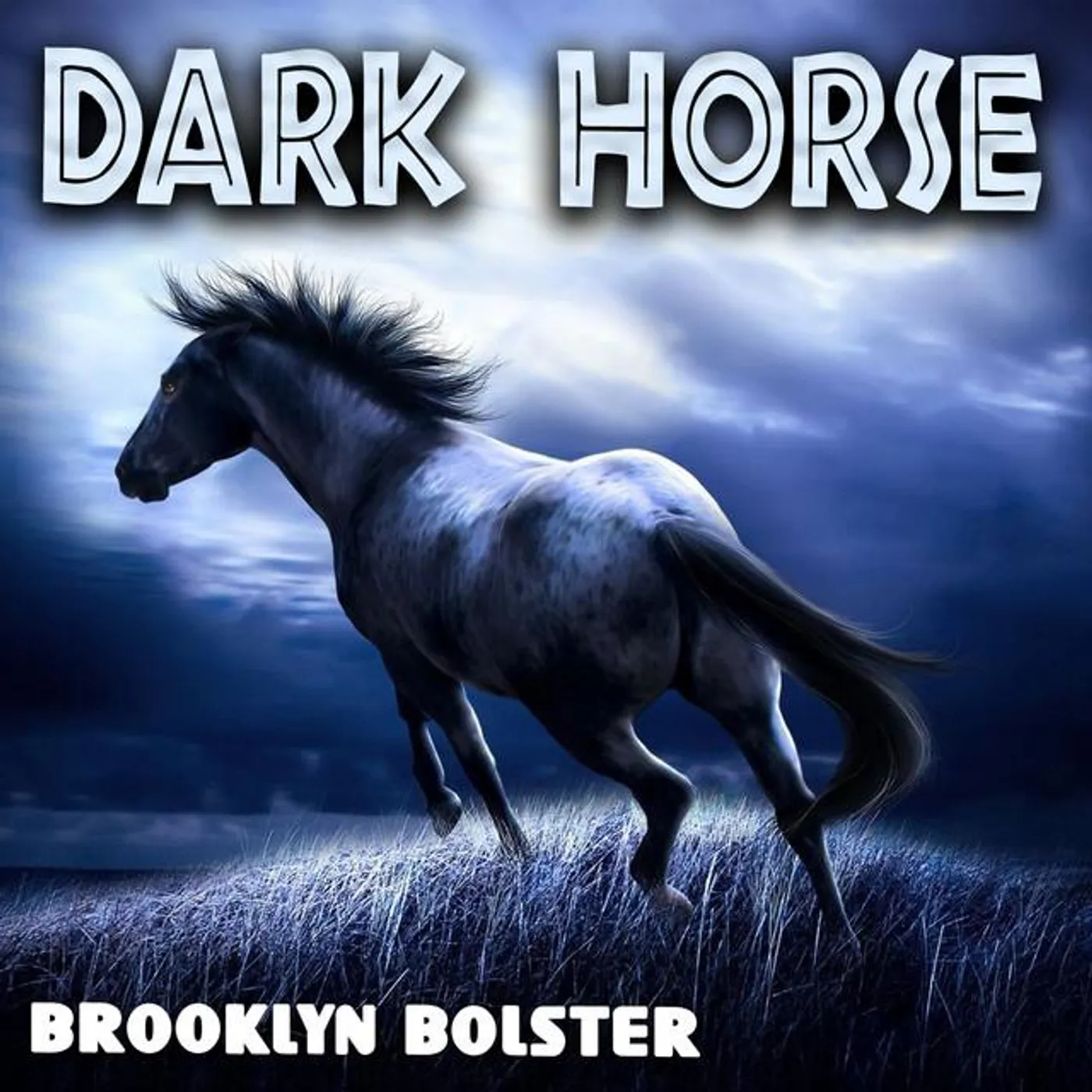 Brooklyn Bolster Brand Page
