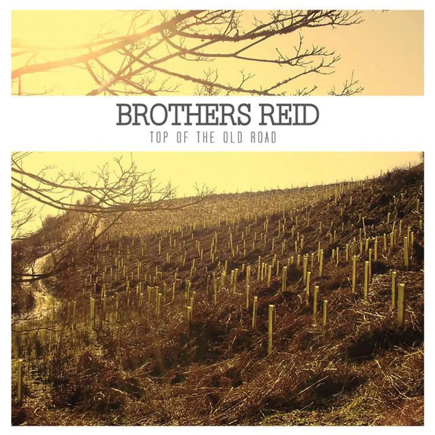 Brothers Reid