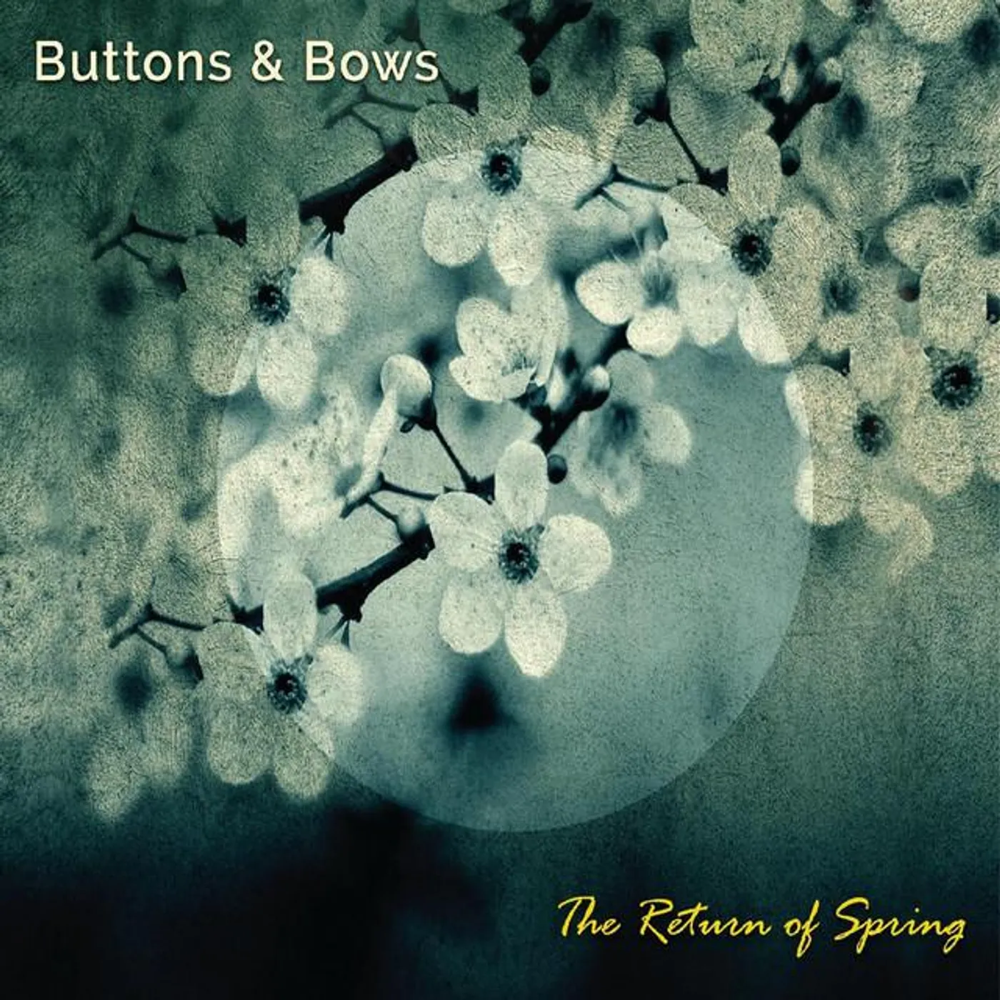 Buttons and Bows Brand Page