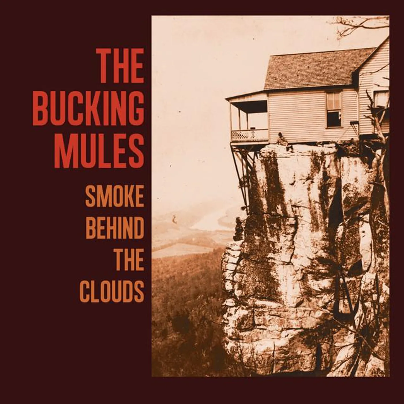 The Bucking Mules Brand Page