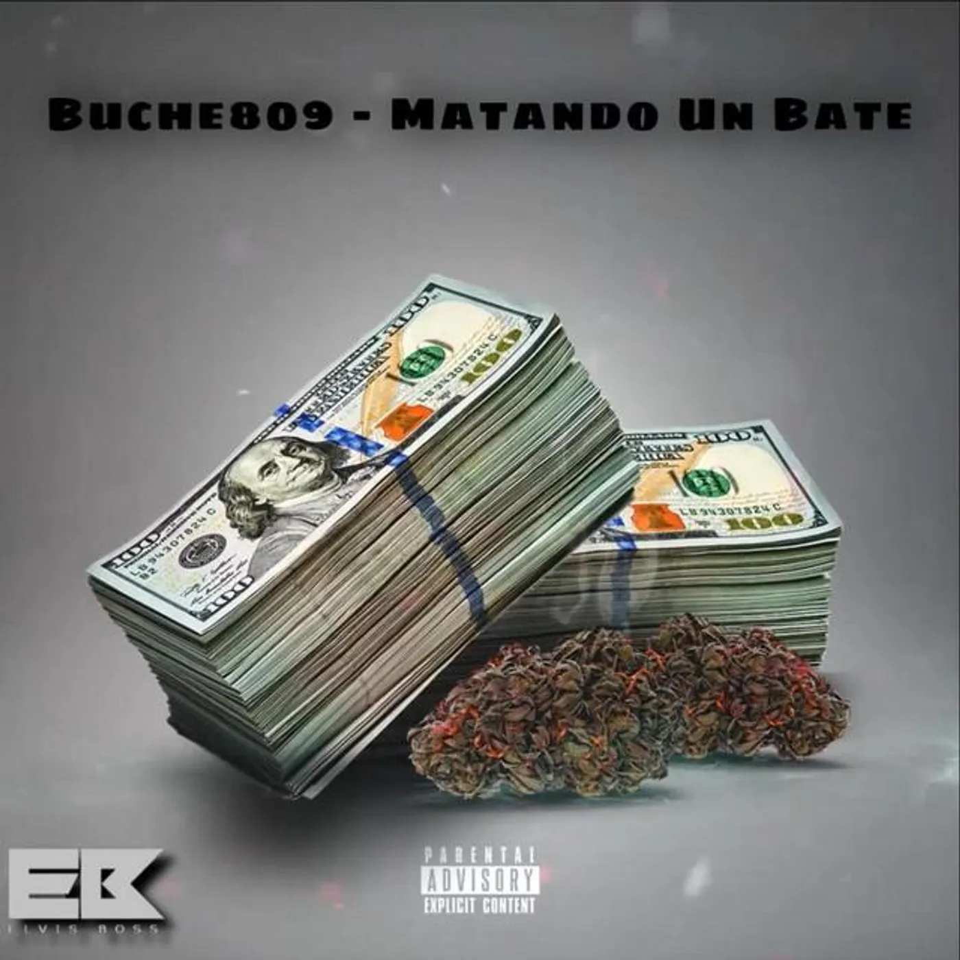 Buche809