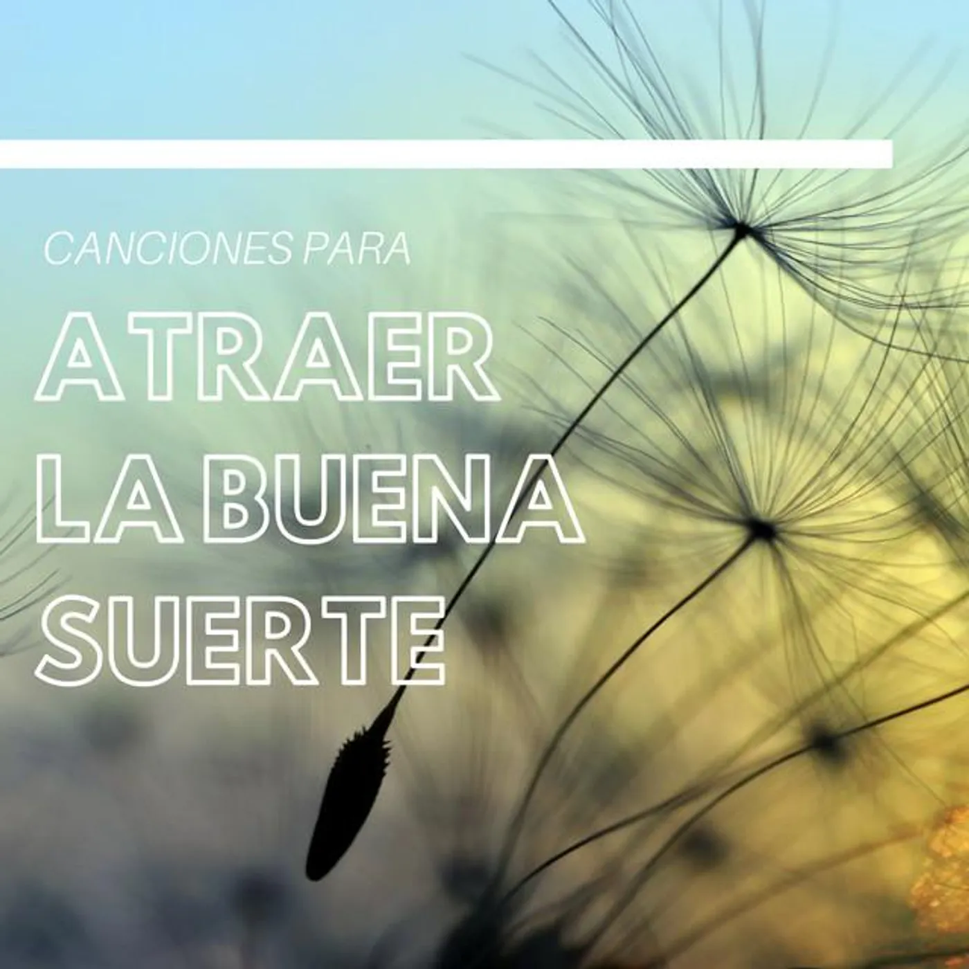 Buena Suerte