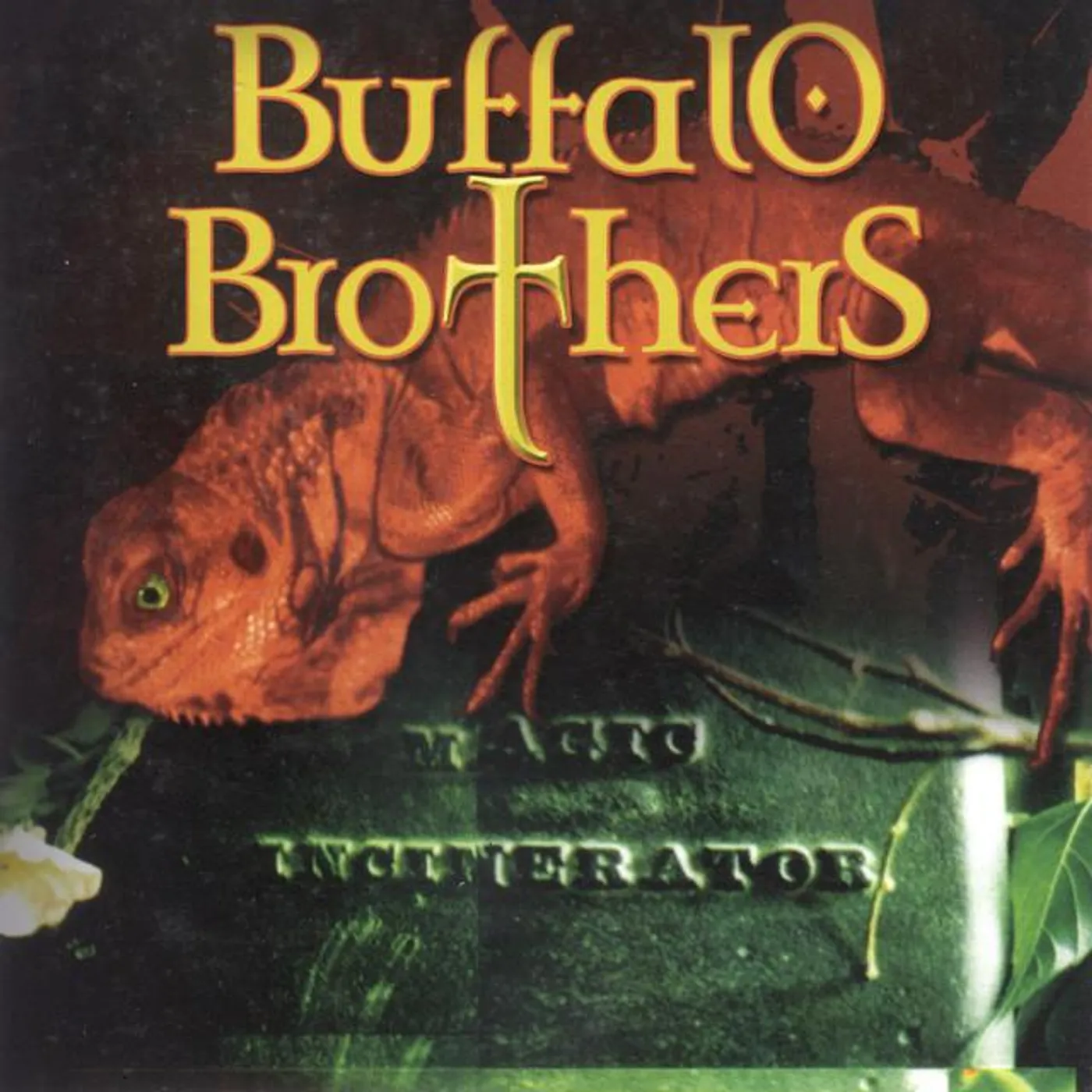 Buffalo Brothers