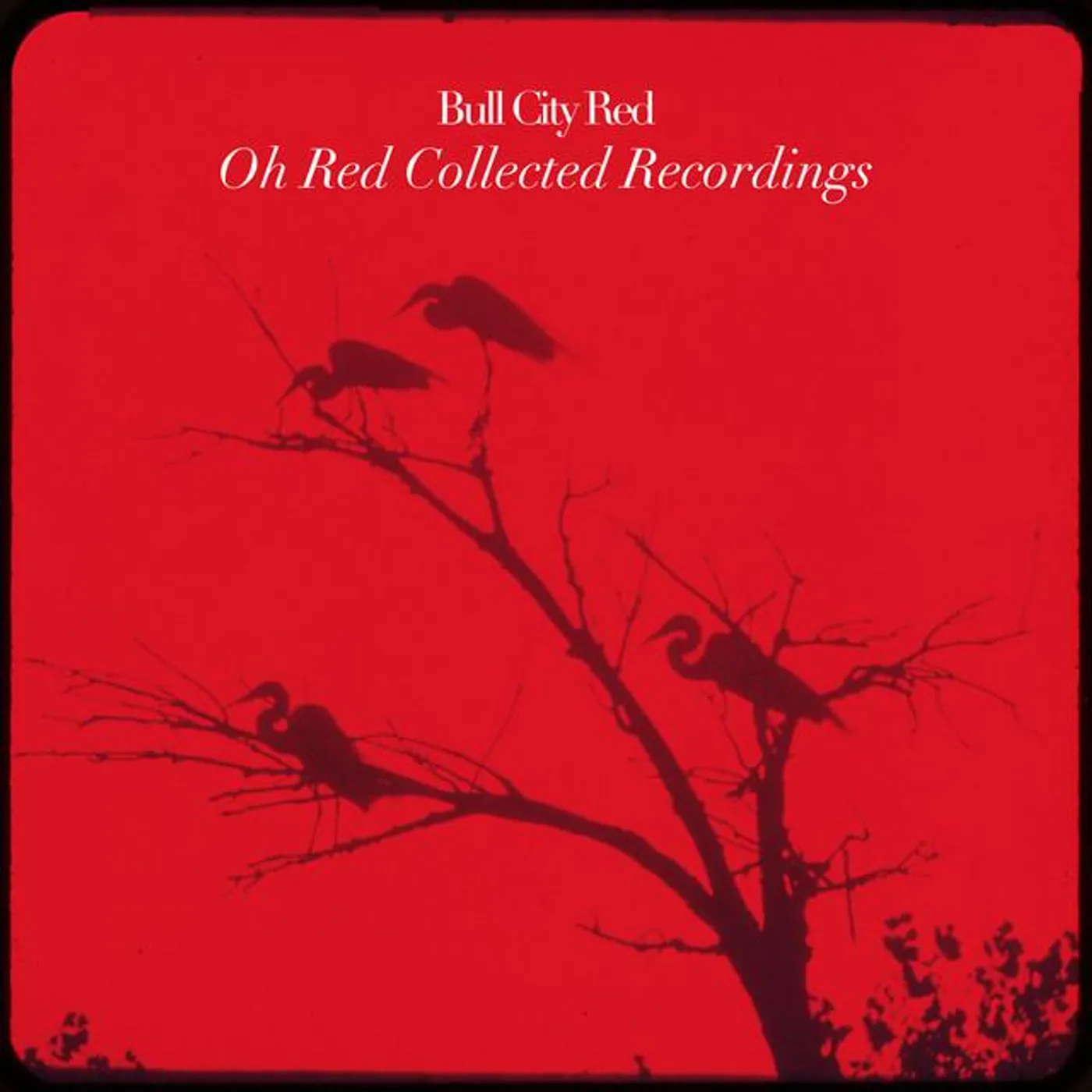 Bull City Red
