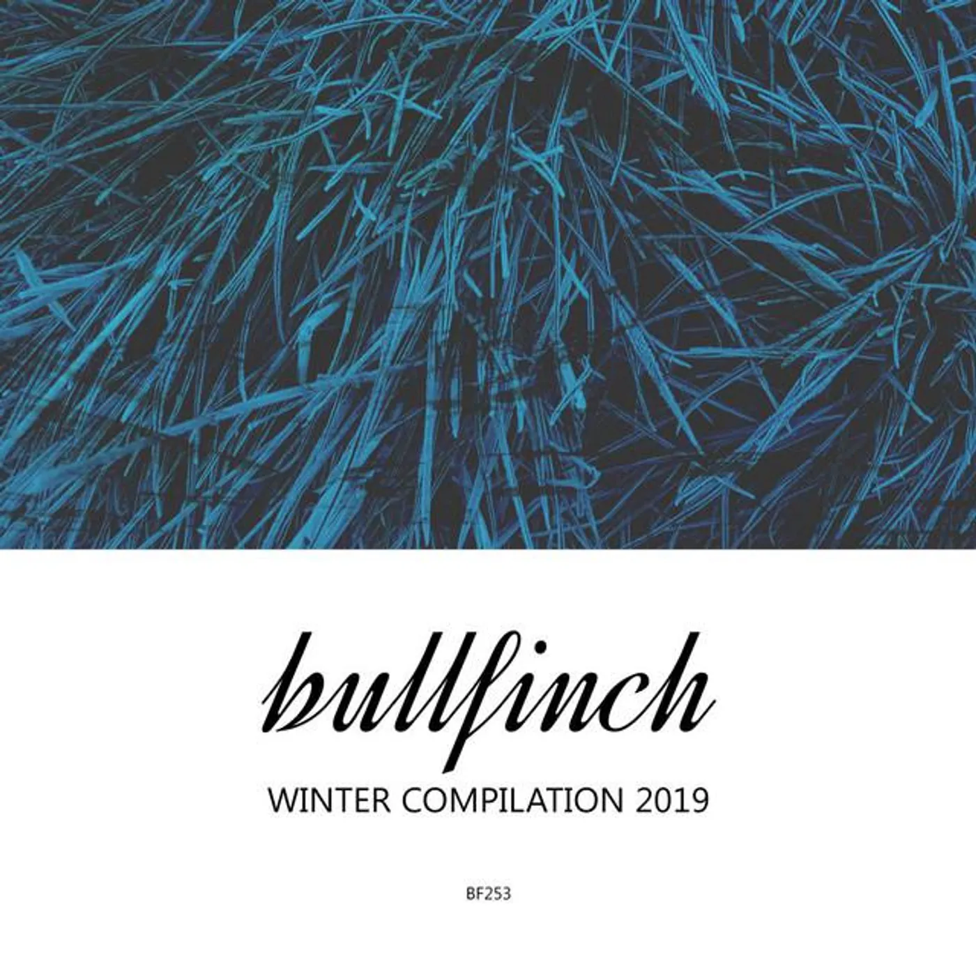 Bullfinch