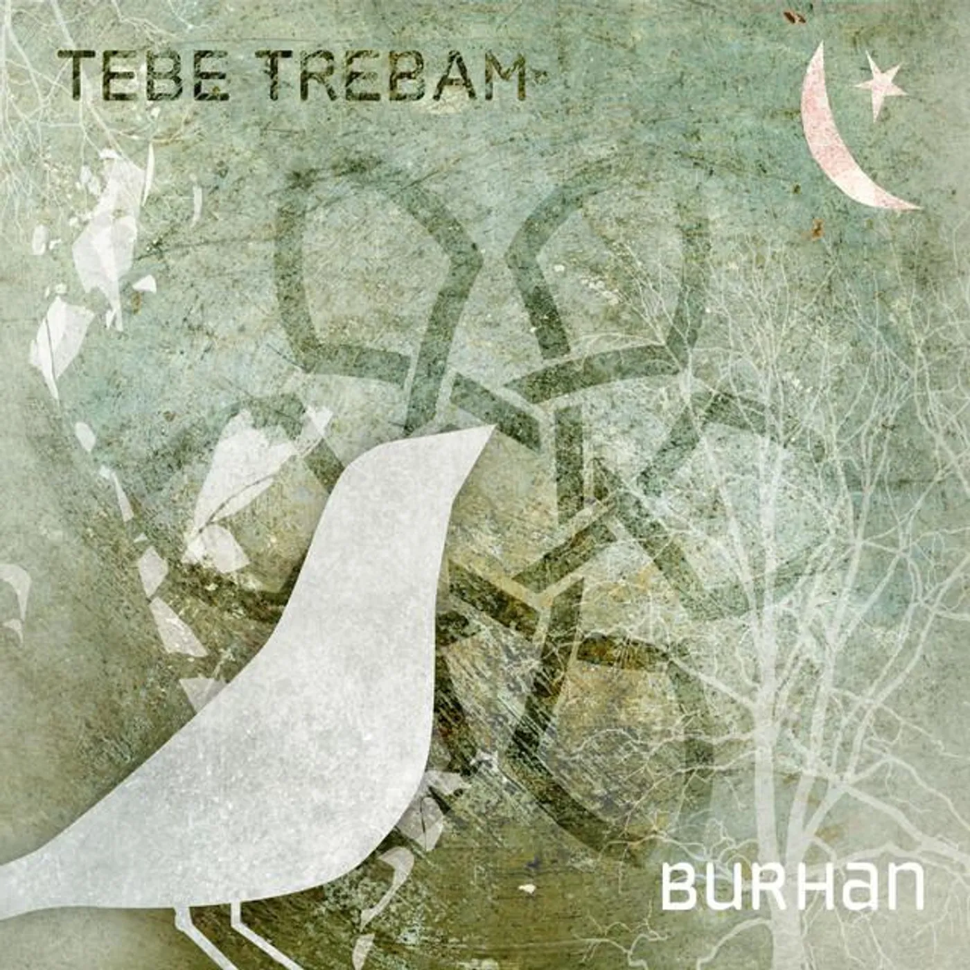 Burhan Saban
