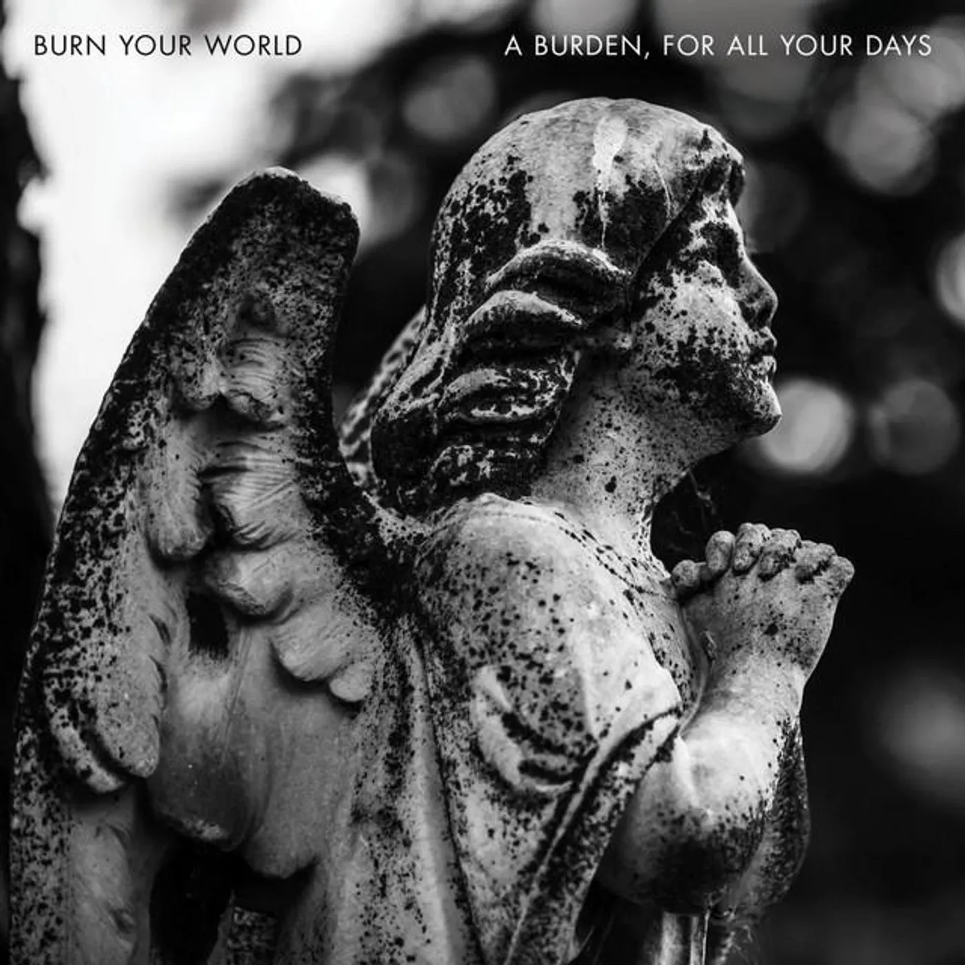 Burn Your World