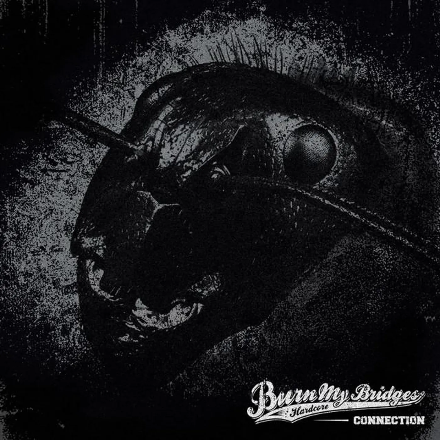 Burn My Bridges Brand Page