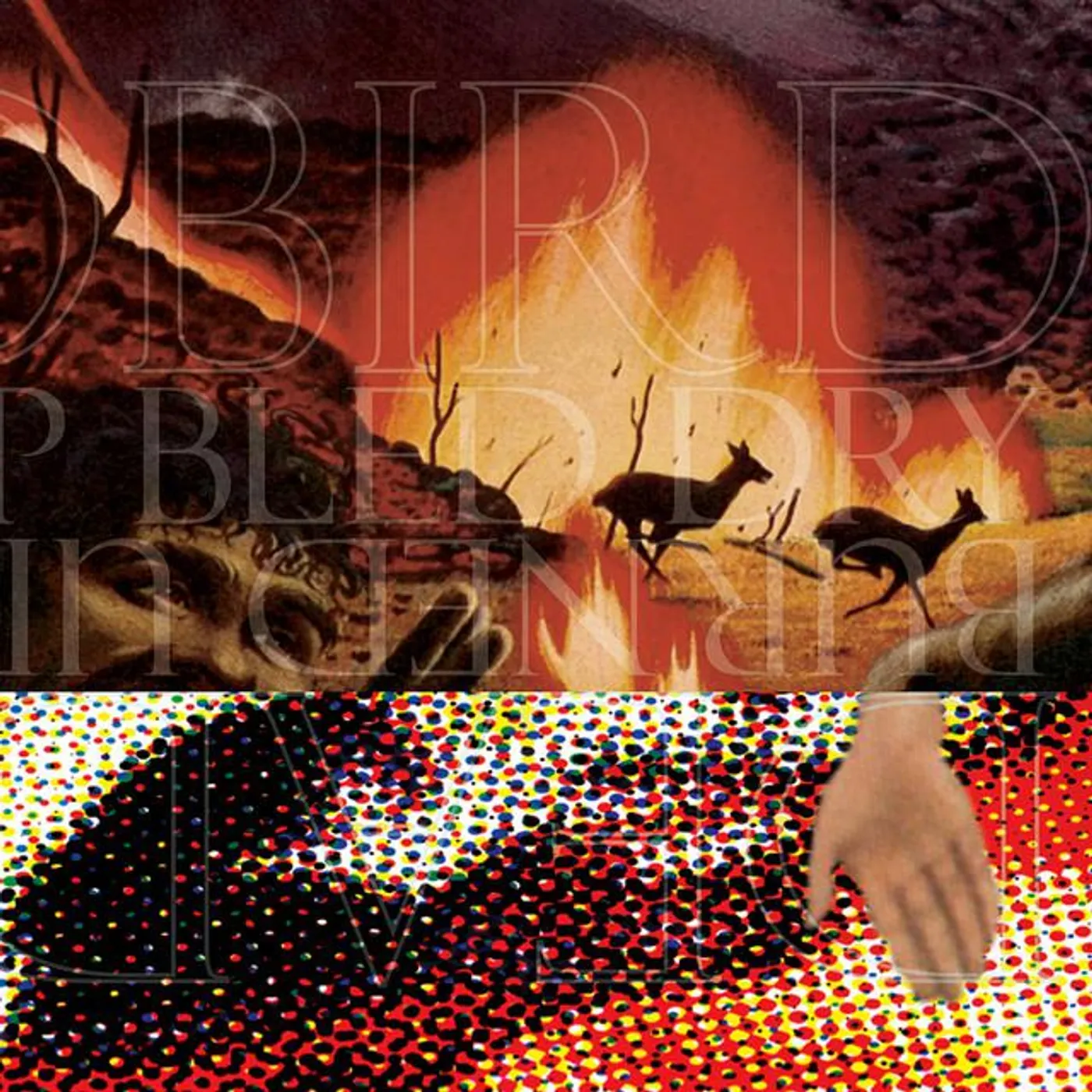 Burned Up Bled Dry