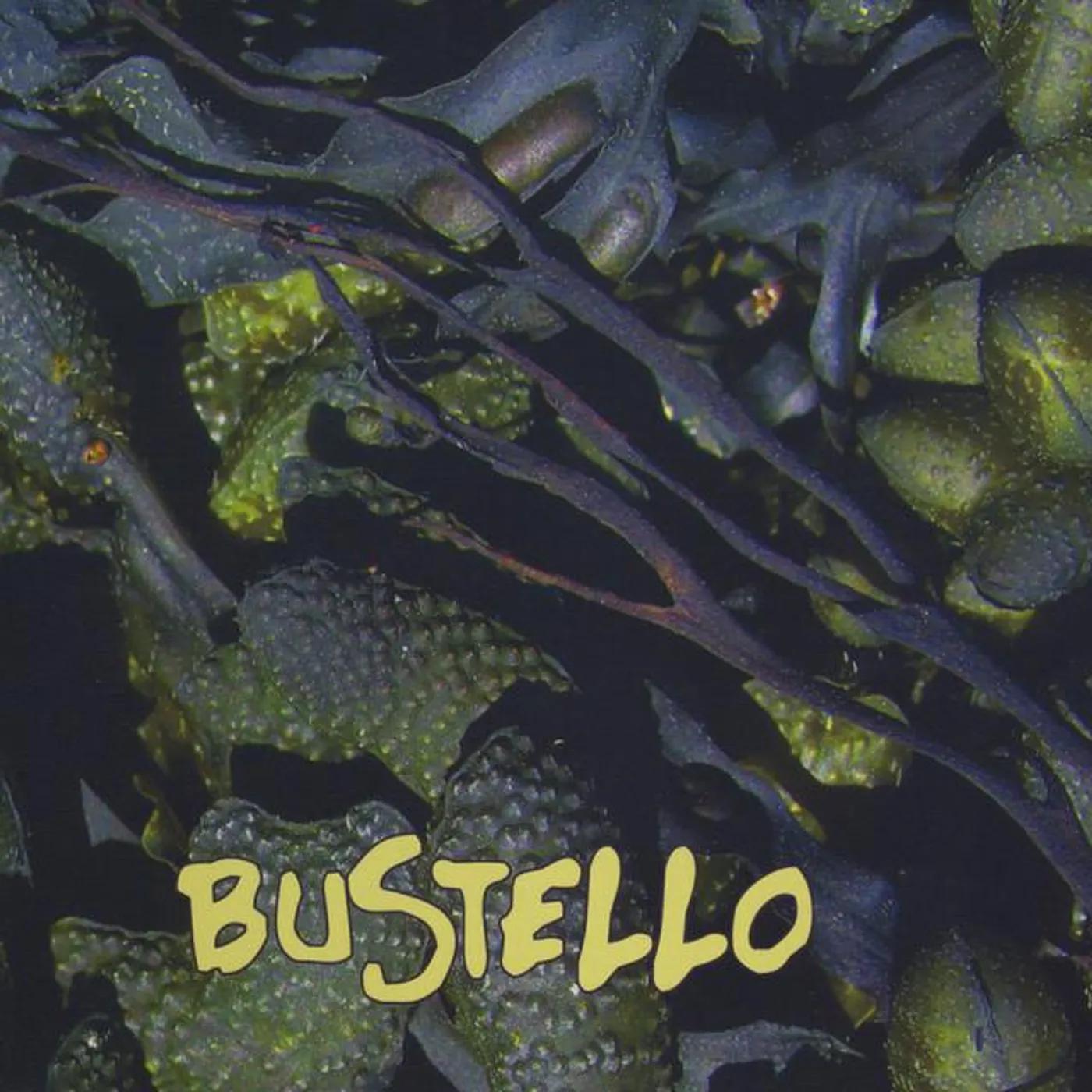 Bustello Brand Page