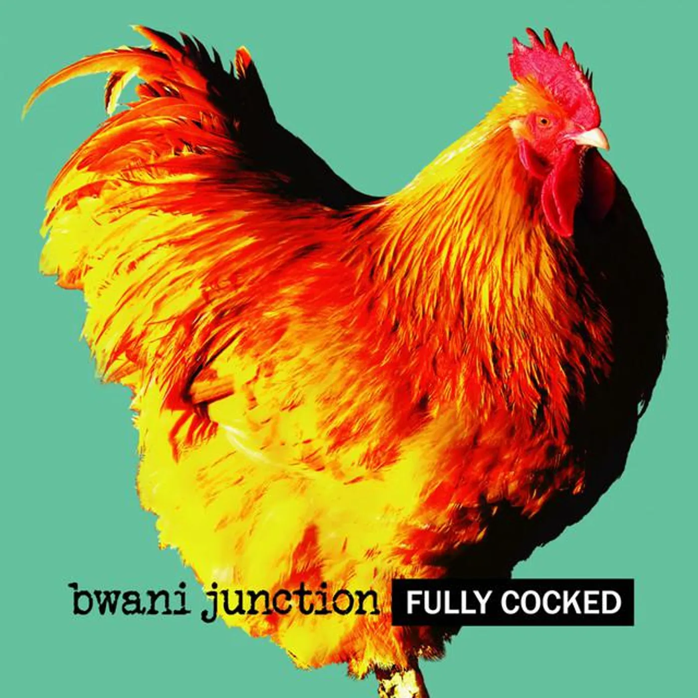 Bwani Junction Brand Page
