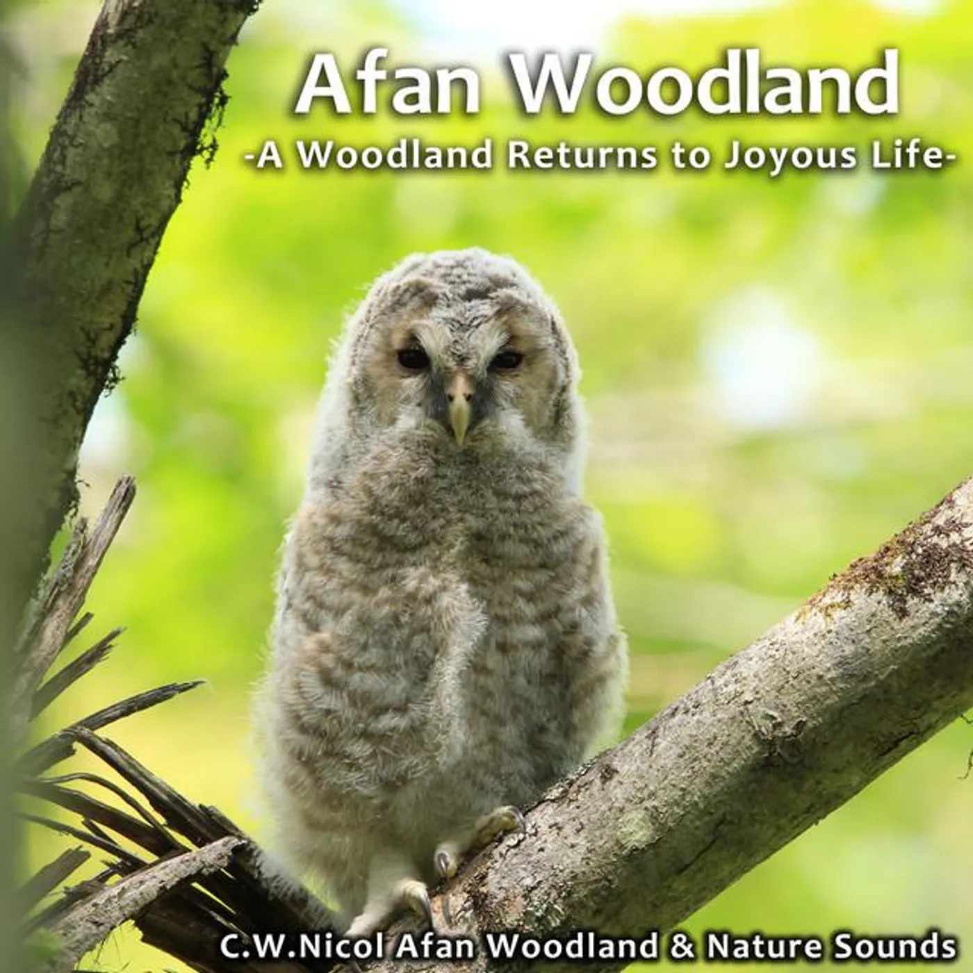 C.W. Nicol Afan Woodland