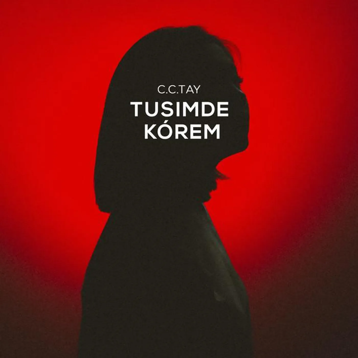 C.C.TAY