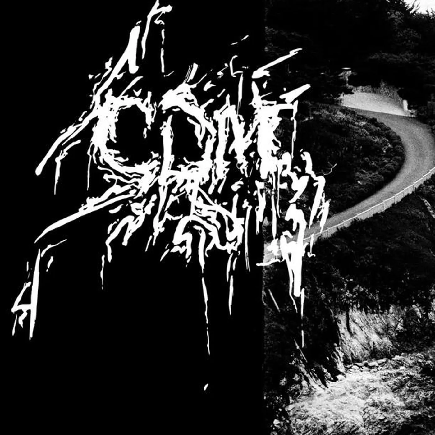 C.D.M