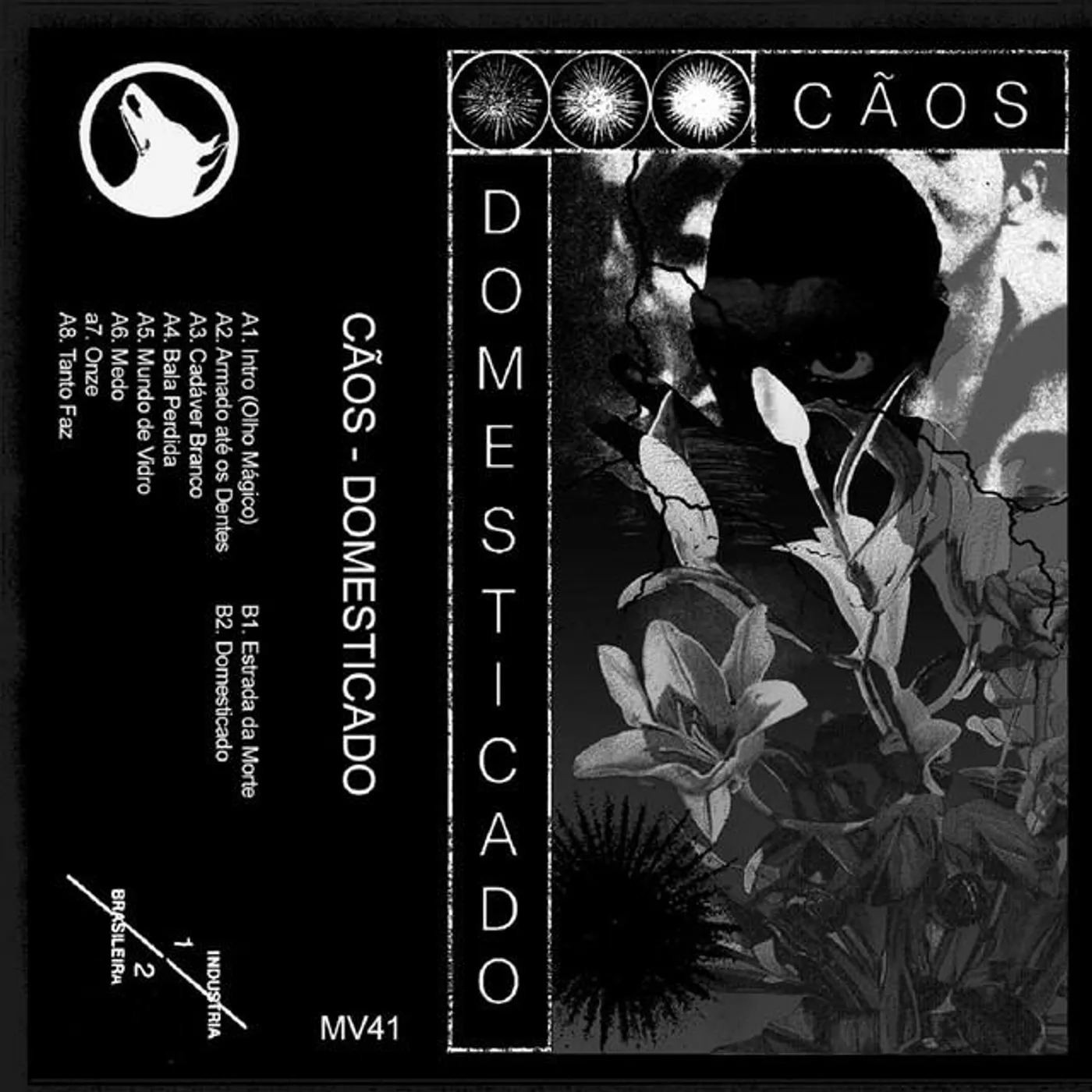 Cãos