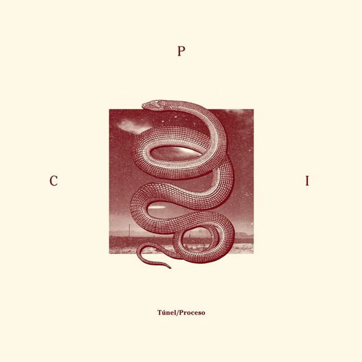 C.P.I.