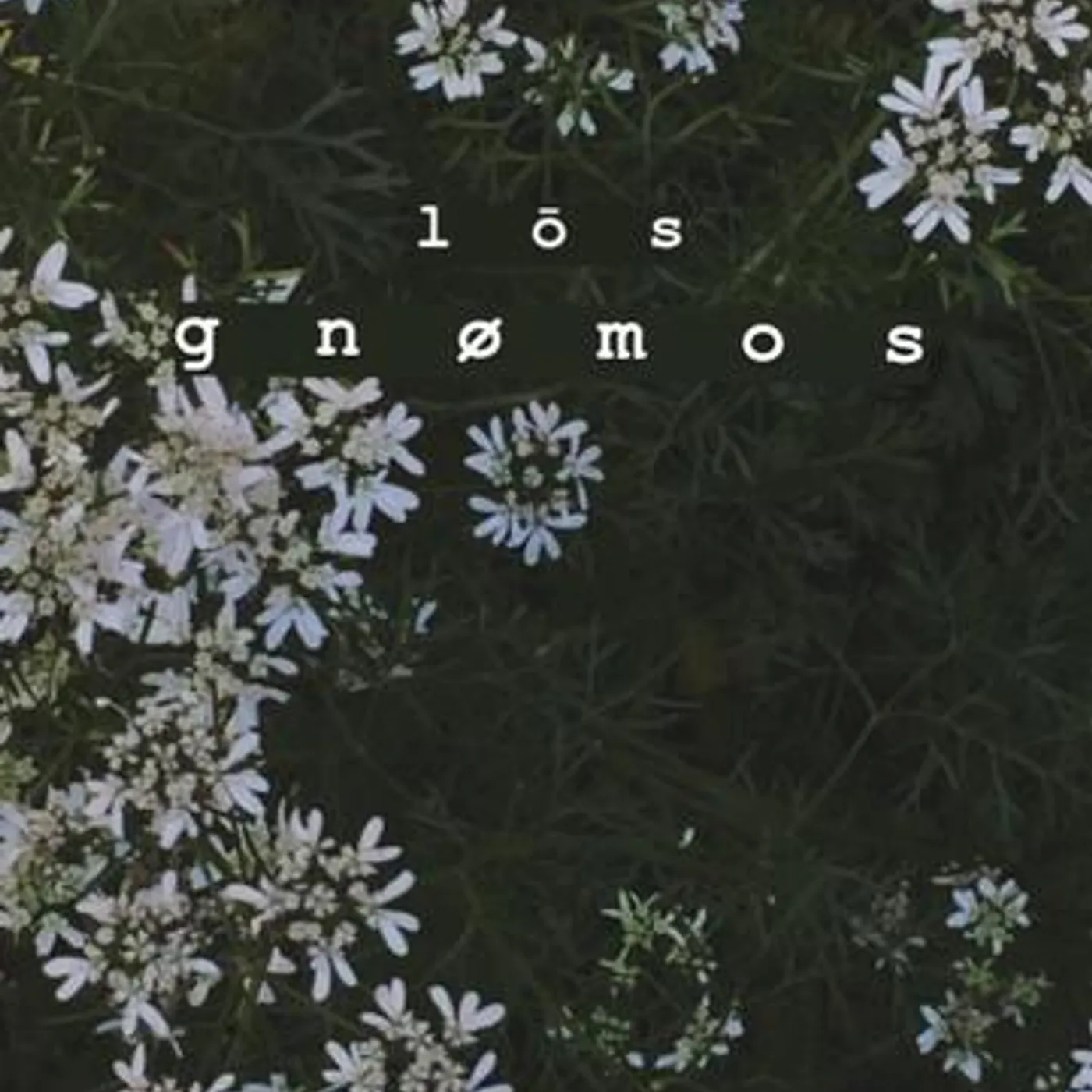 Gnomos Brand Page