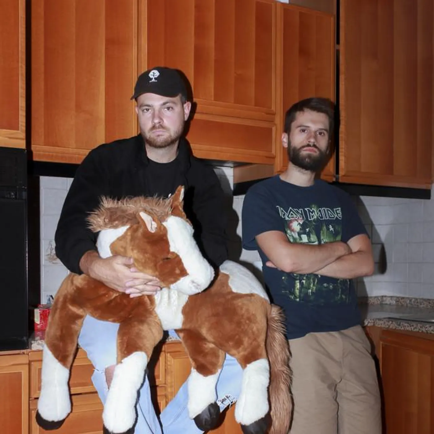 Go Hawaii Brand Page