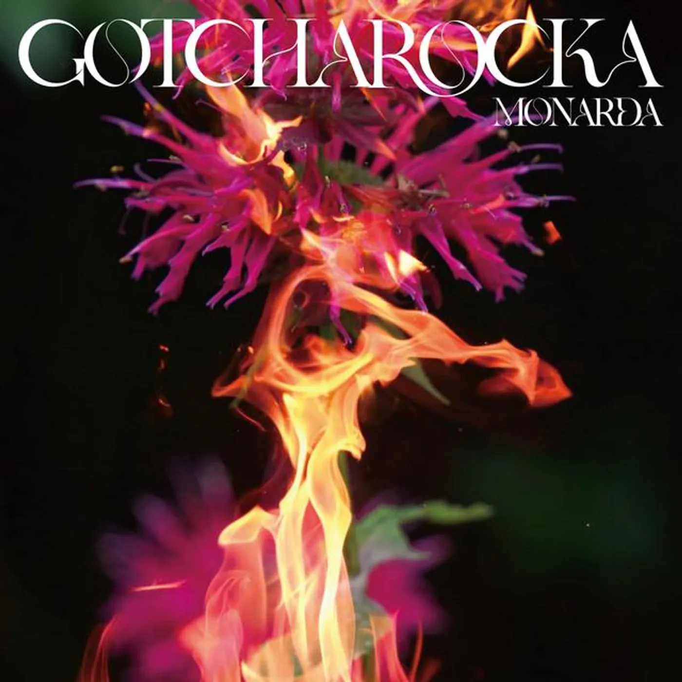 GOTCHAROCKA Brand Page