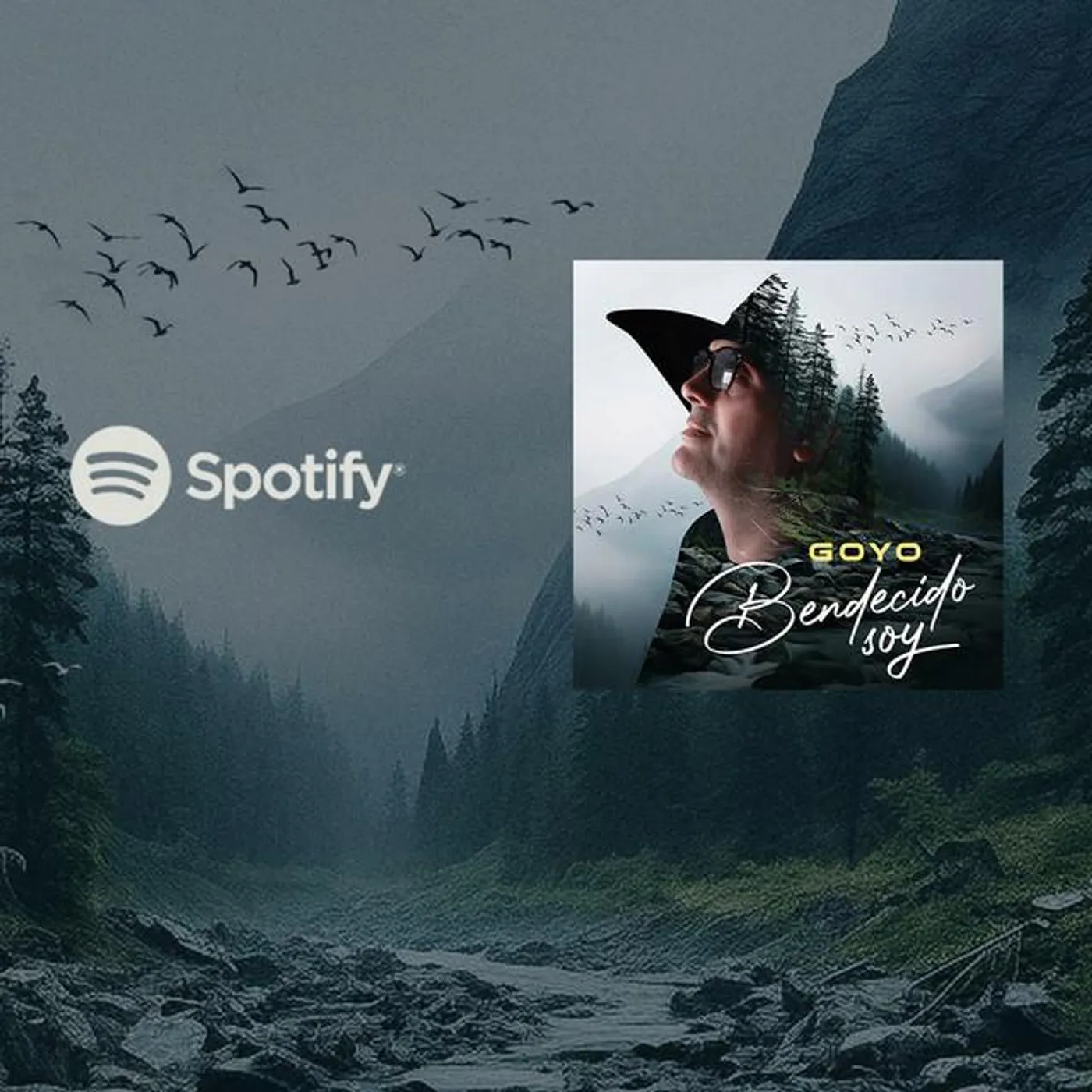 Goyo Brand Page