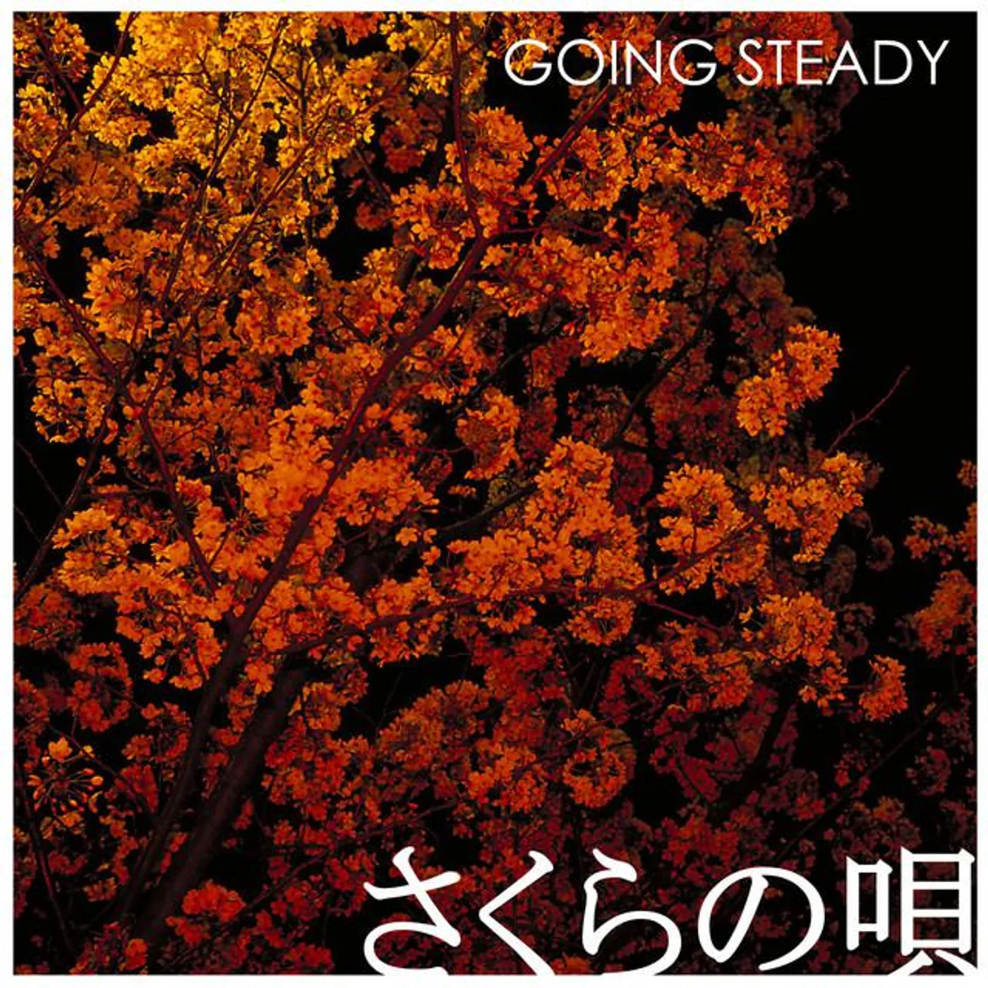 GOING STEADY Brand Page