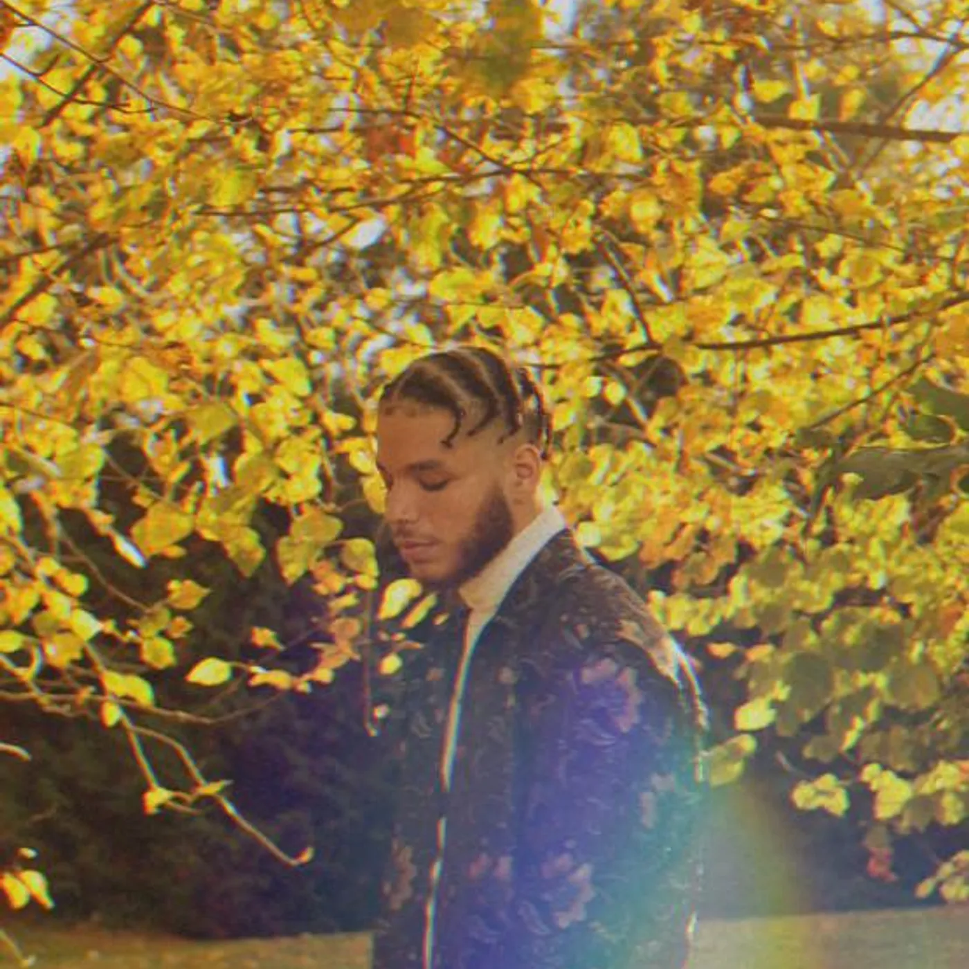 Goldstepz