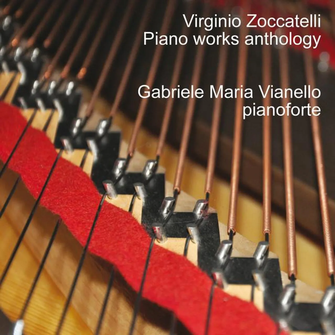 Gabriele Maria Vianello