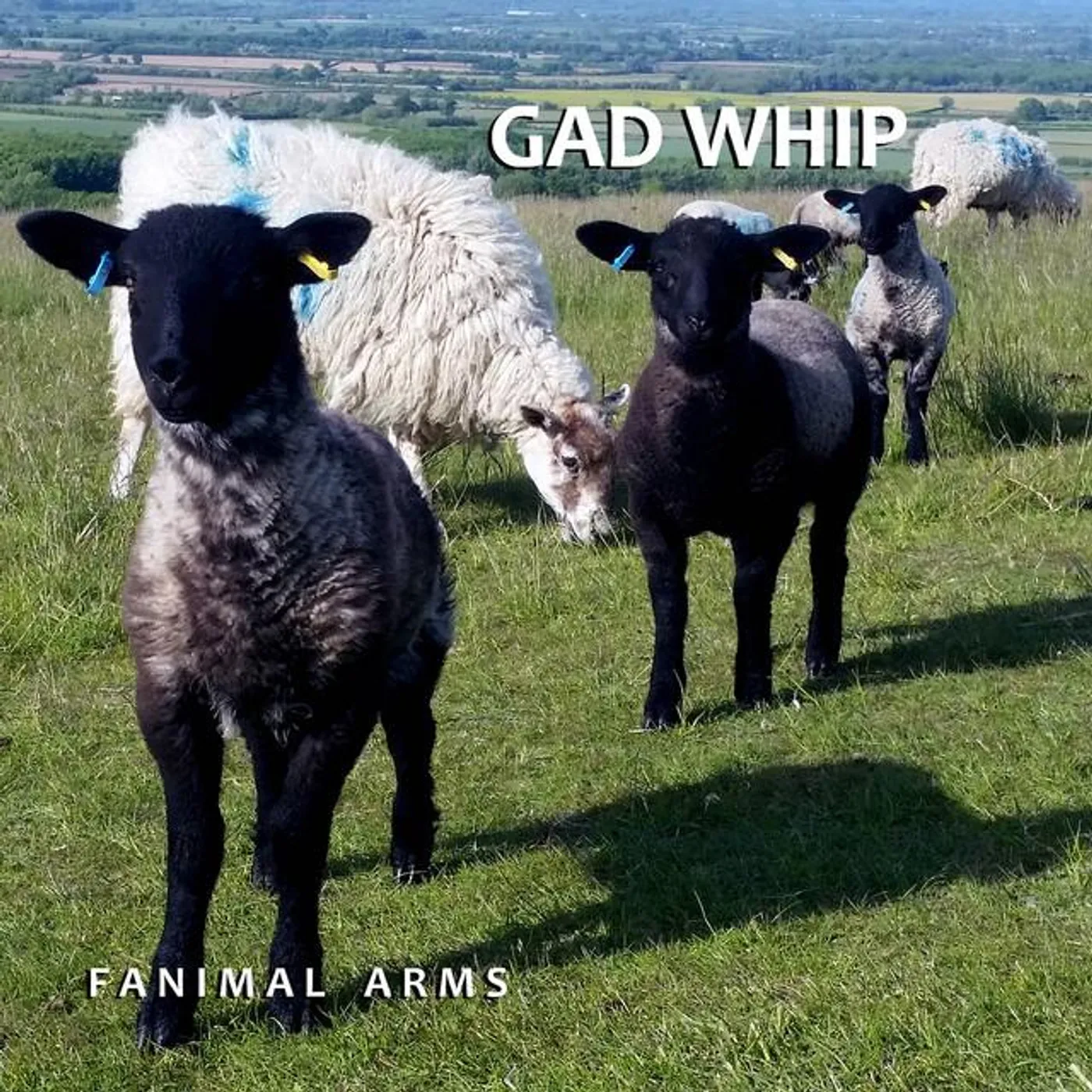 Gad Whip