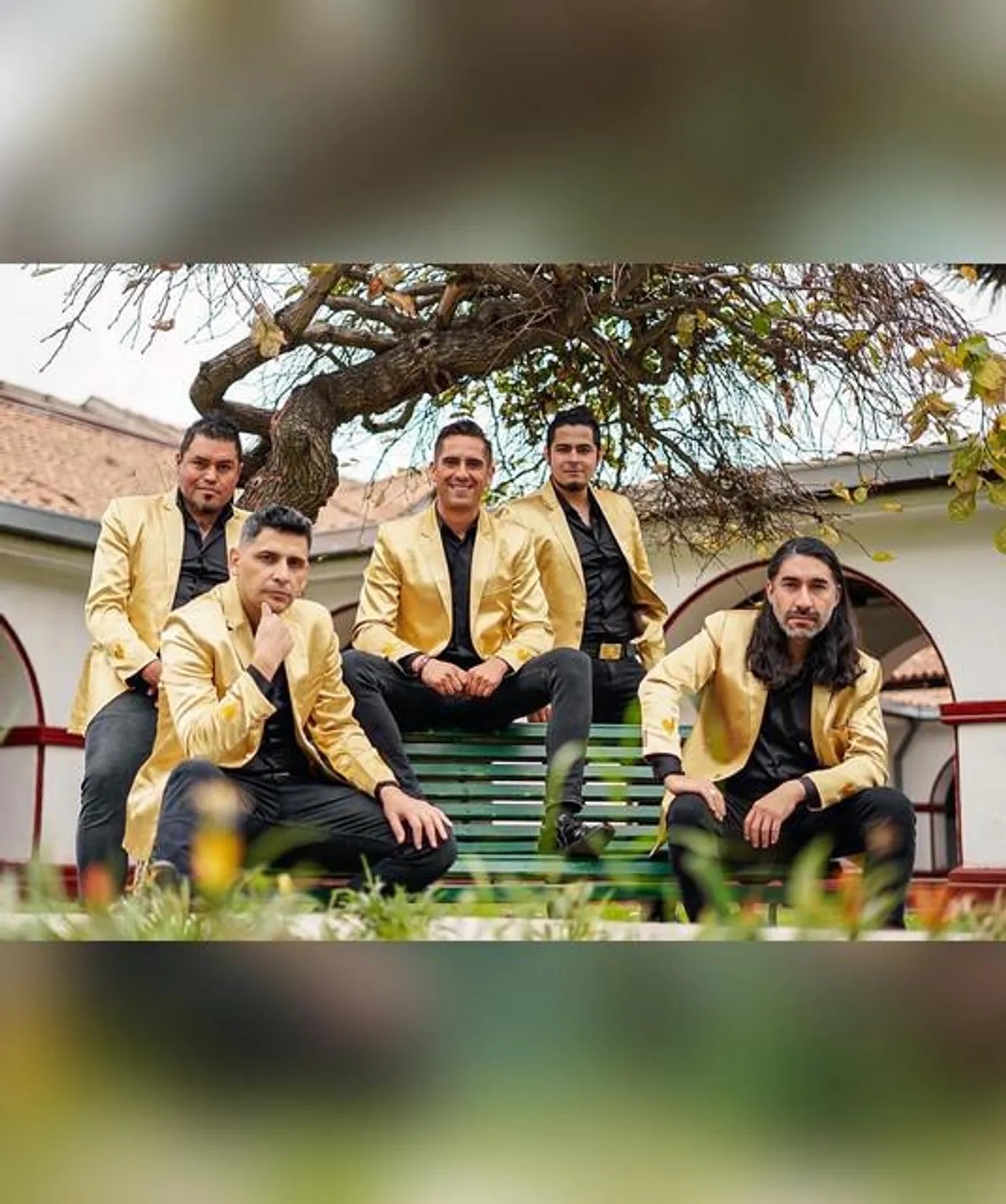 Gallos Dorados