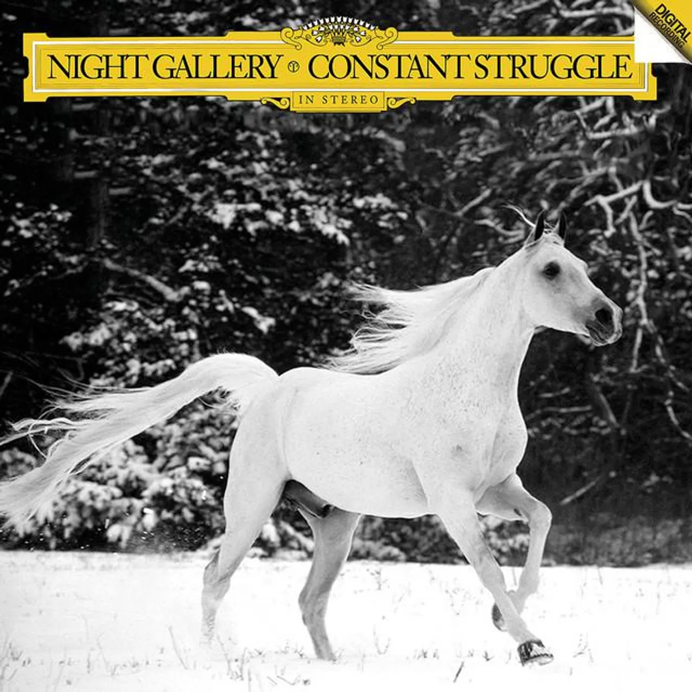 Night Gallery Brand Page
