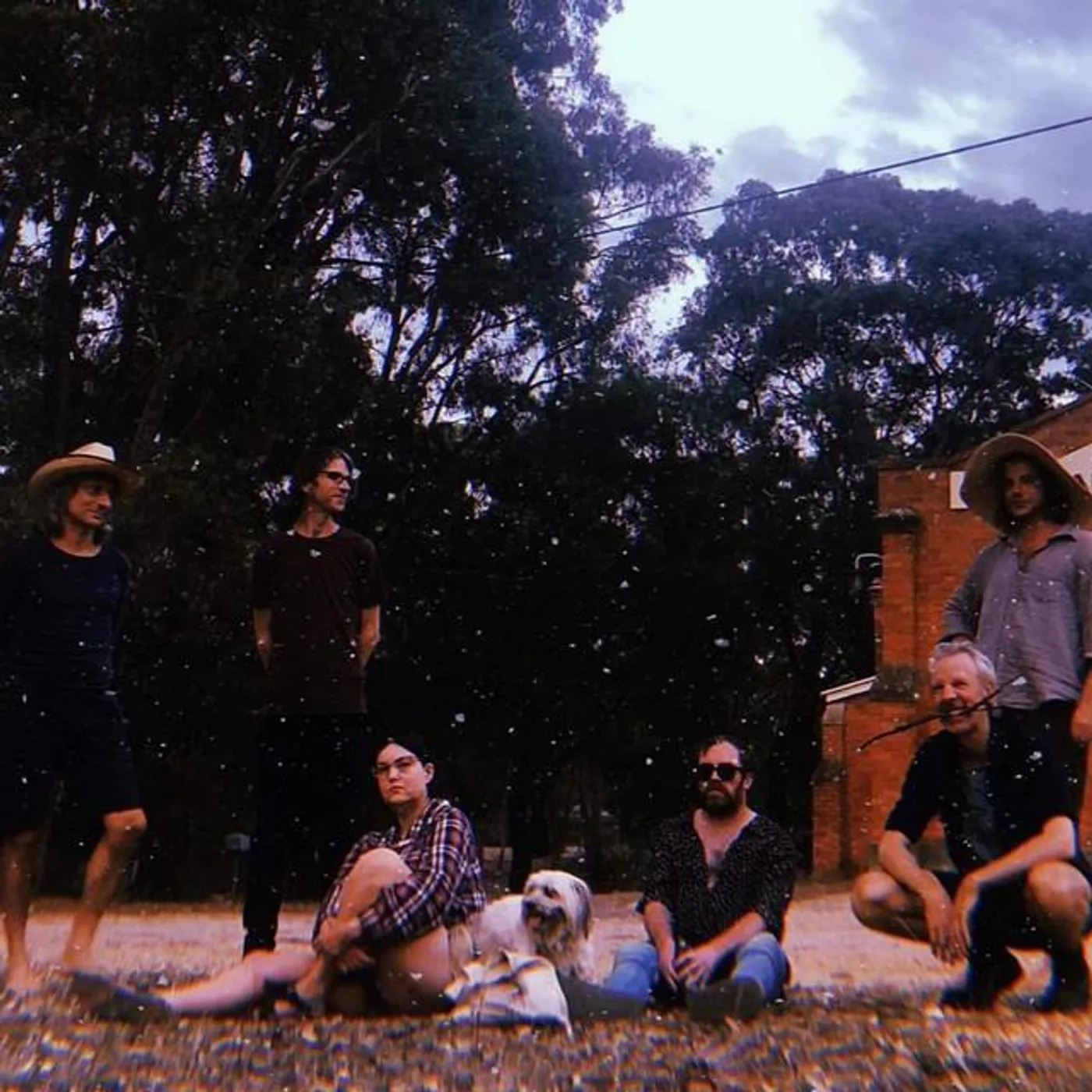 The Garbage & the Flowers